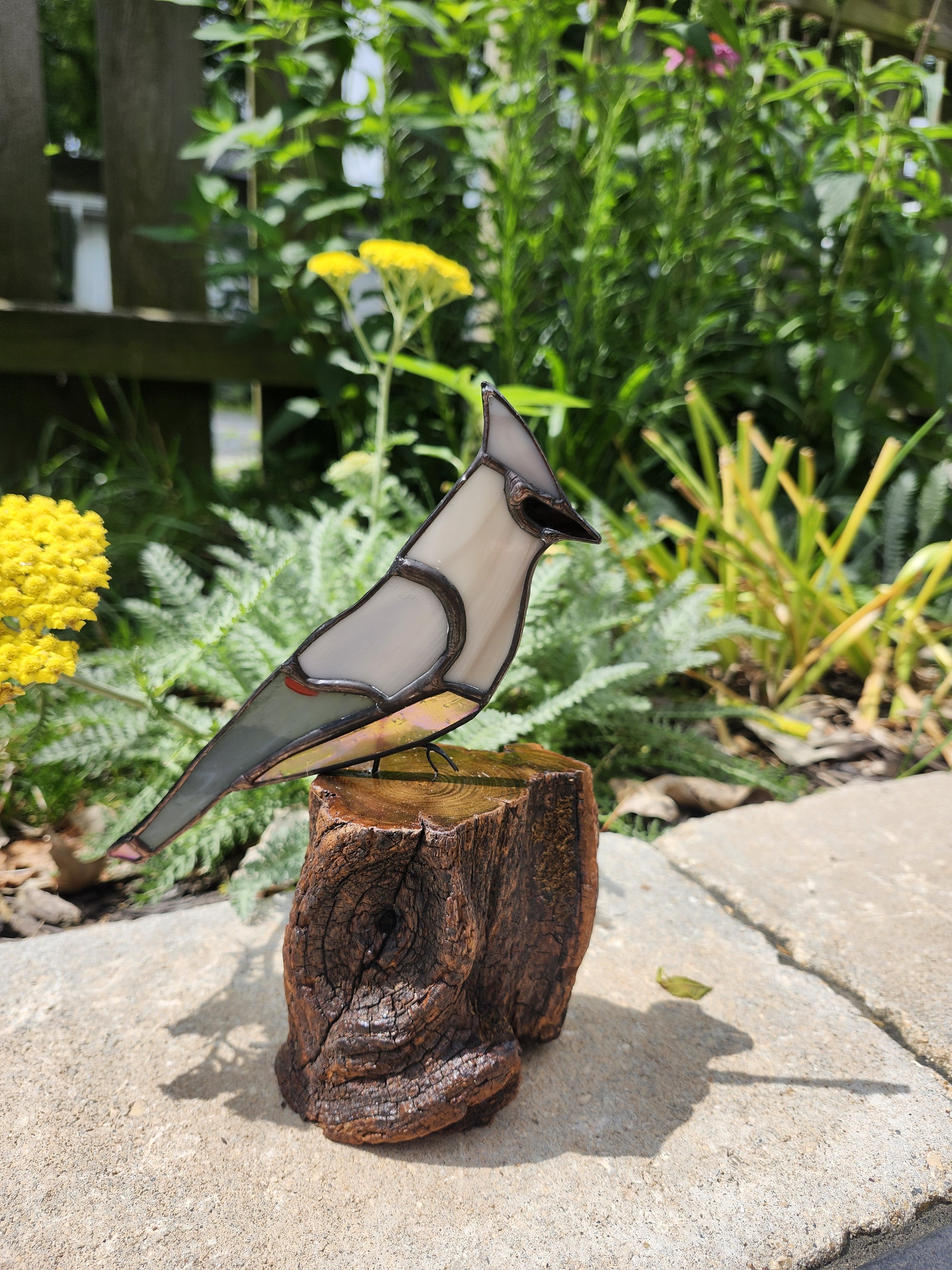Cedar Waxwing