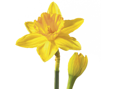 Planting Seeds of Hopefulness: Stewardship 2020