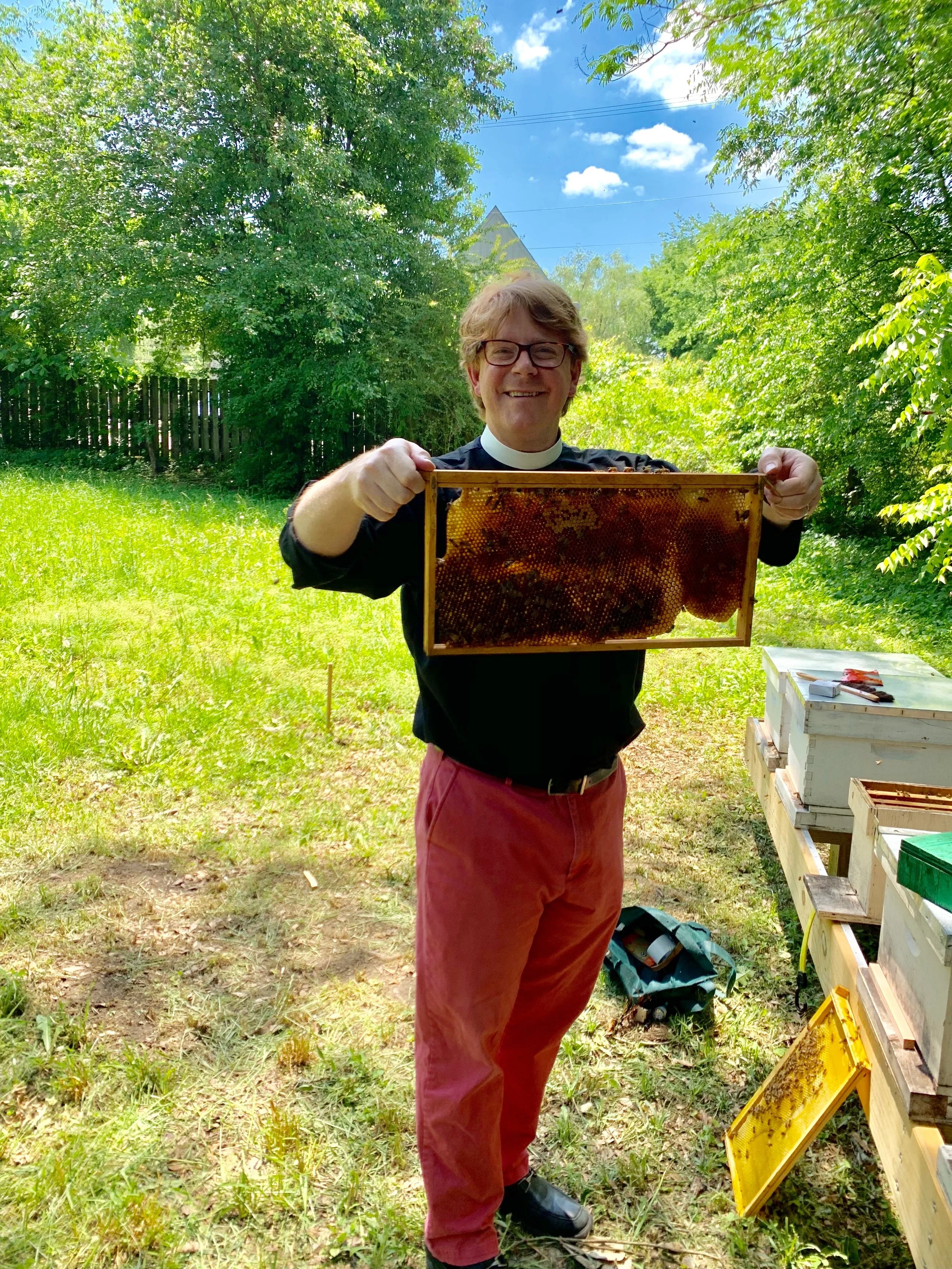 SSE Bees - John.jpeg