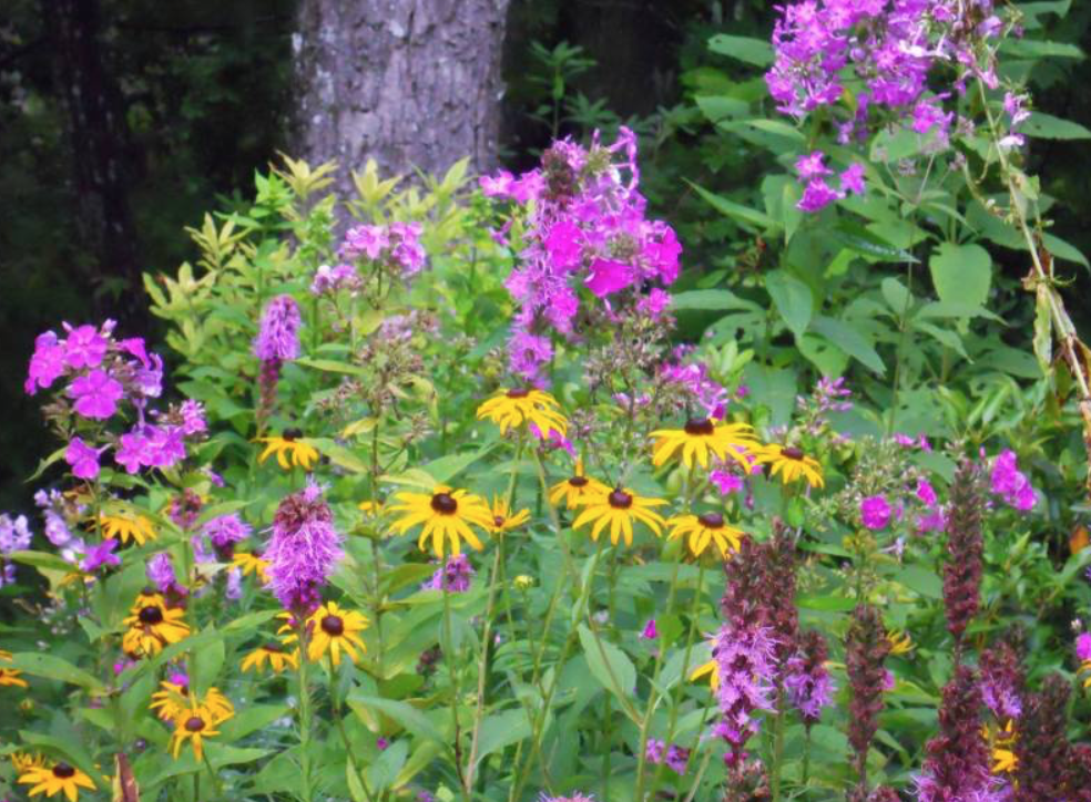 Screenshot 2019-07-01 14.44.55.png