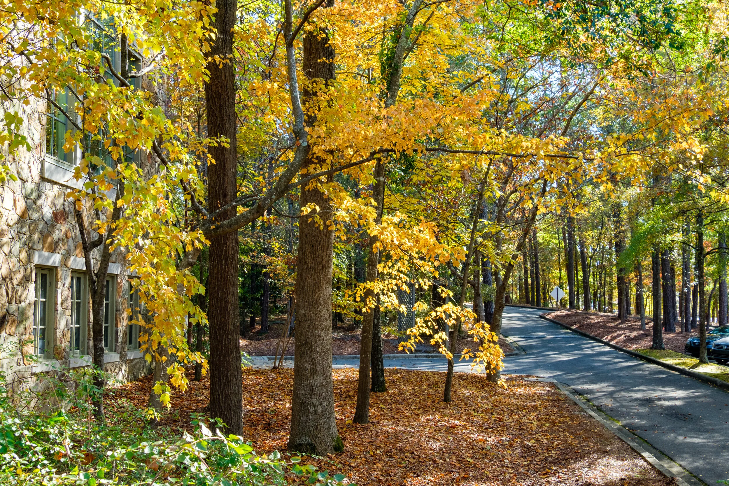  God showing off on our campus!