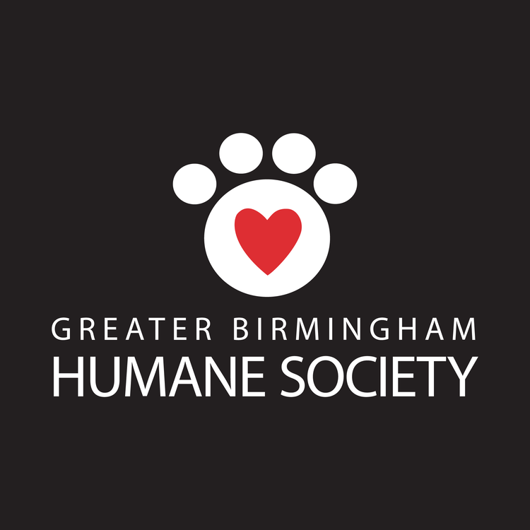 GBHS logo for collection drive 2021.png