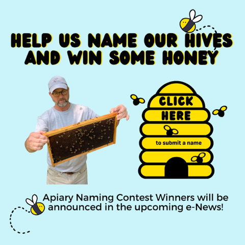 Name a Hive – Win some Honey