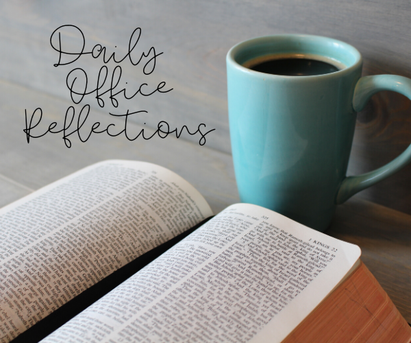 Unicorn and Donkey - February 1