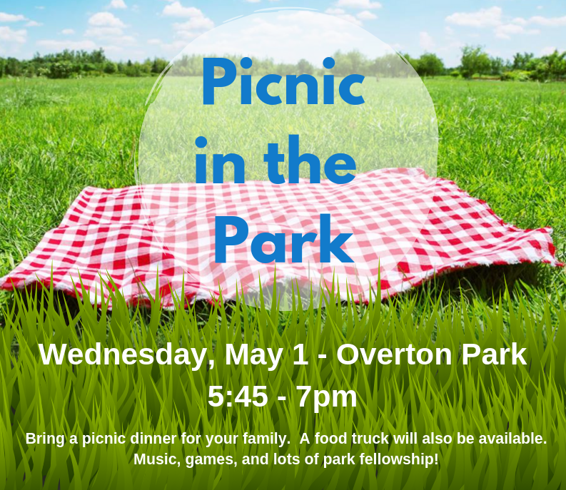 Picnic in the Park.png