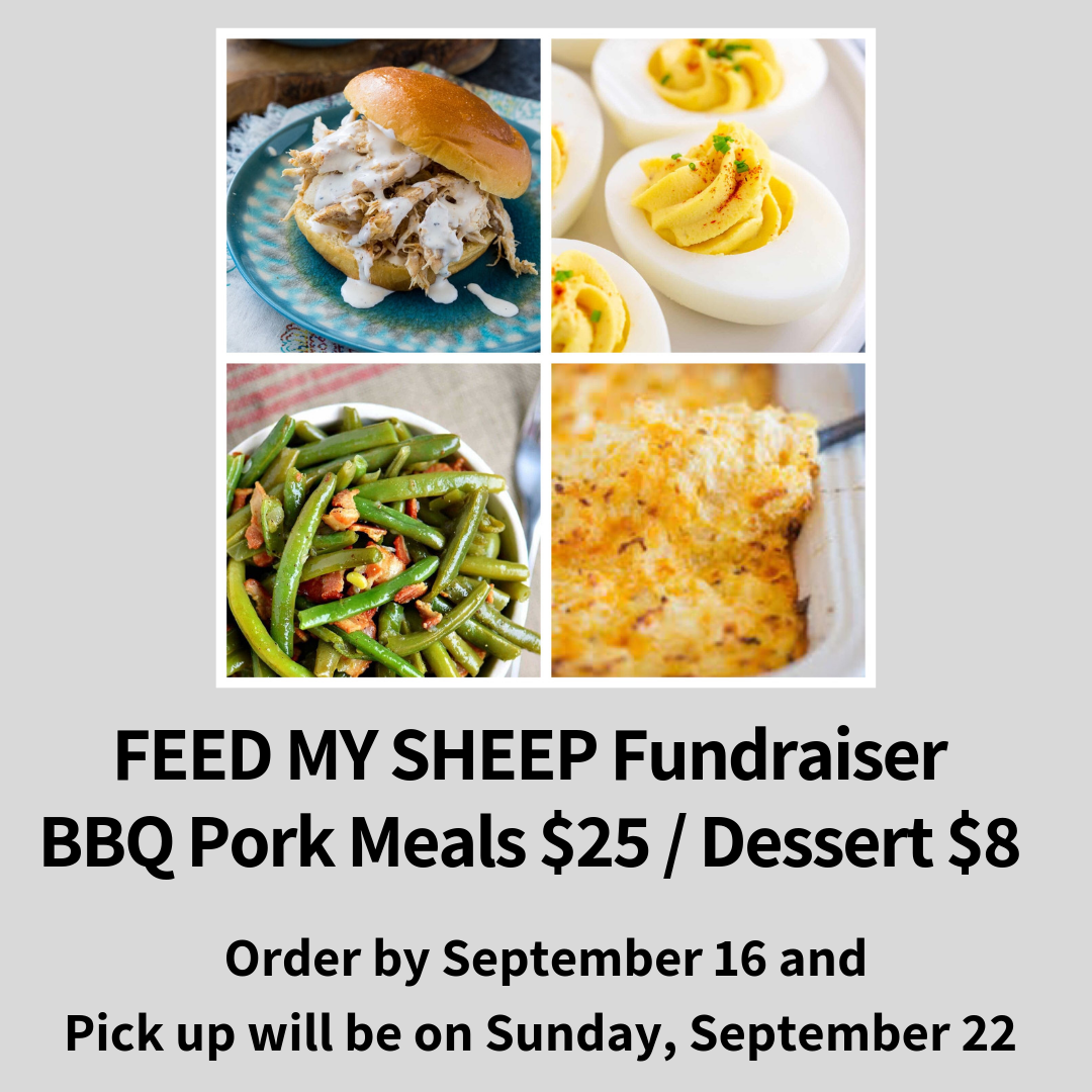 Bulletin - Feed my Sheep-2.png