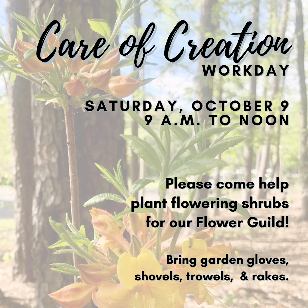 Care of Creation Workday - Oct 9-2.png