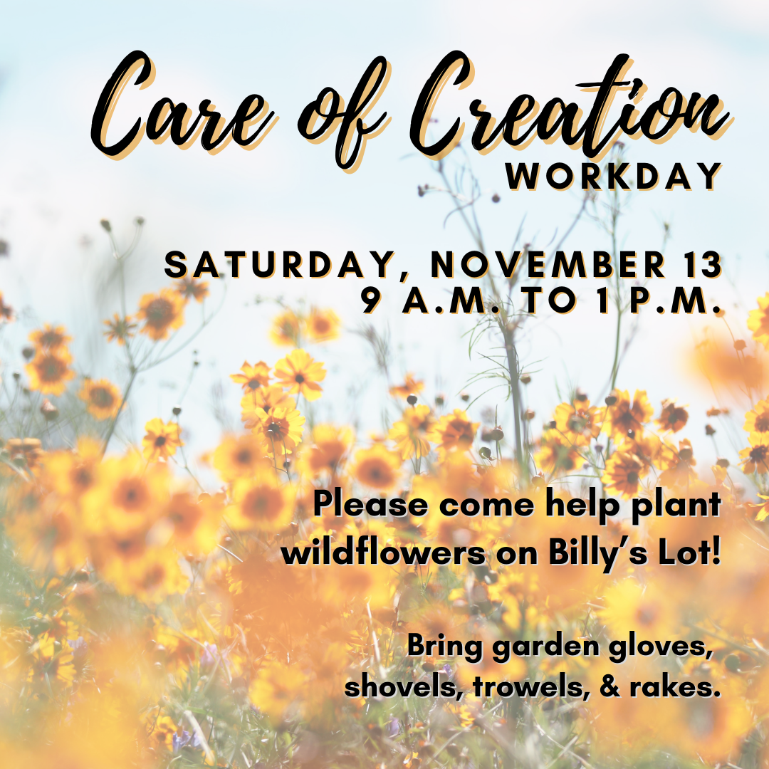 Care of Creation Workday - Nov 13.png
