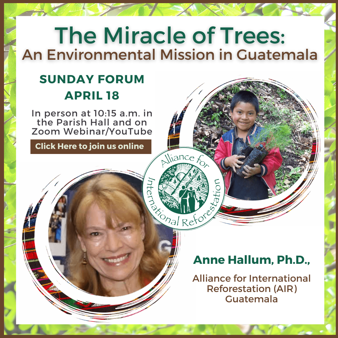 SUNDAY FORUM 4_18 - The Miracle of Trees.png