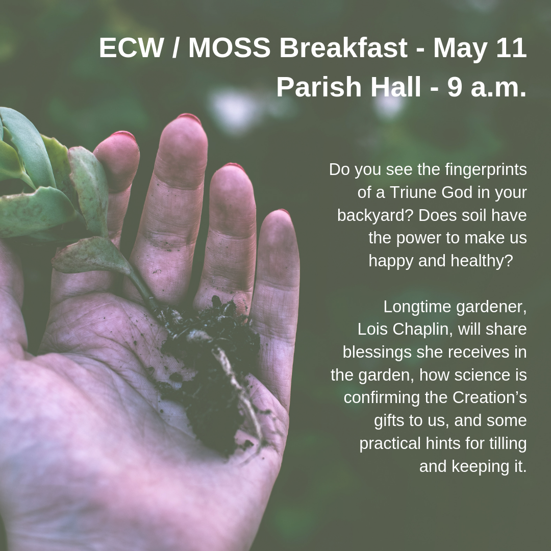 ECW_MOSS - May 11.png