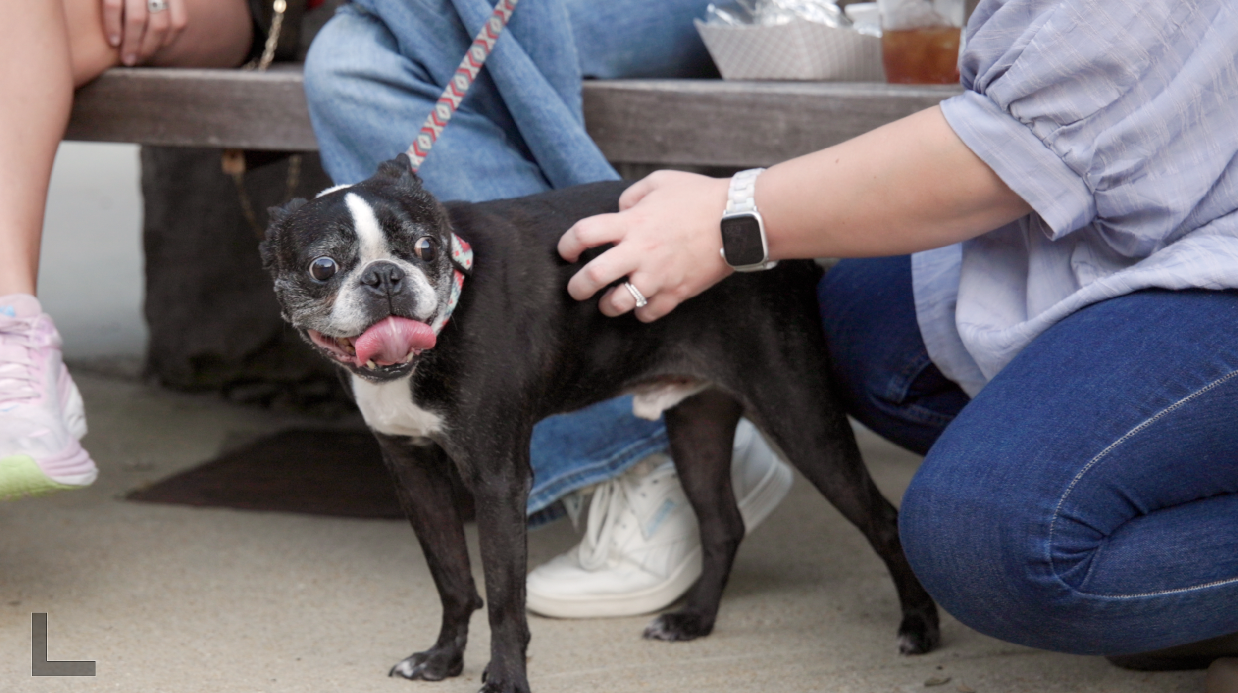 Screenshot 2026-02-14 at 9.34.38 PM.png