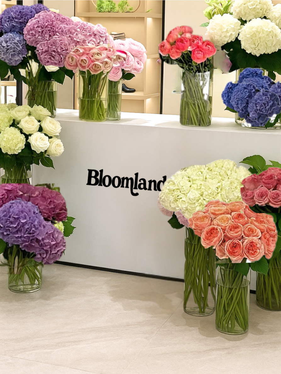 Bloomland+Branding+Socials+%2817%29.png