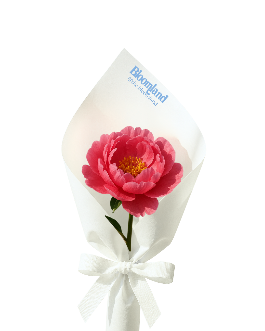 Bloomland Flower Activation Miami Palm Beach South Florida Events.png