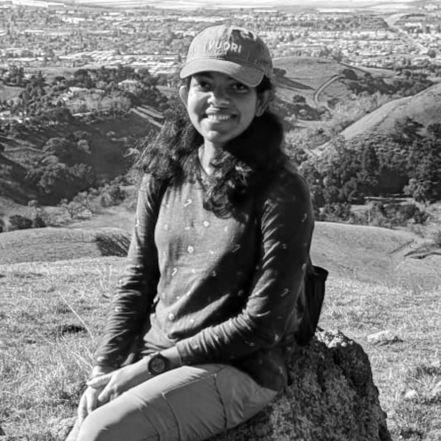 Woman posing on a rock with a scenic background