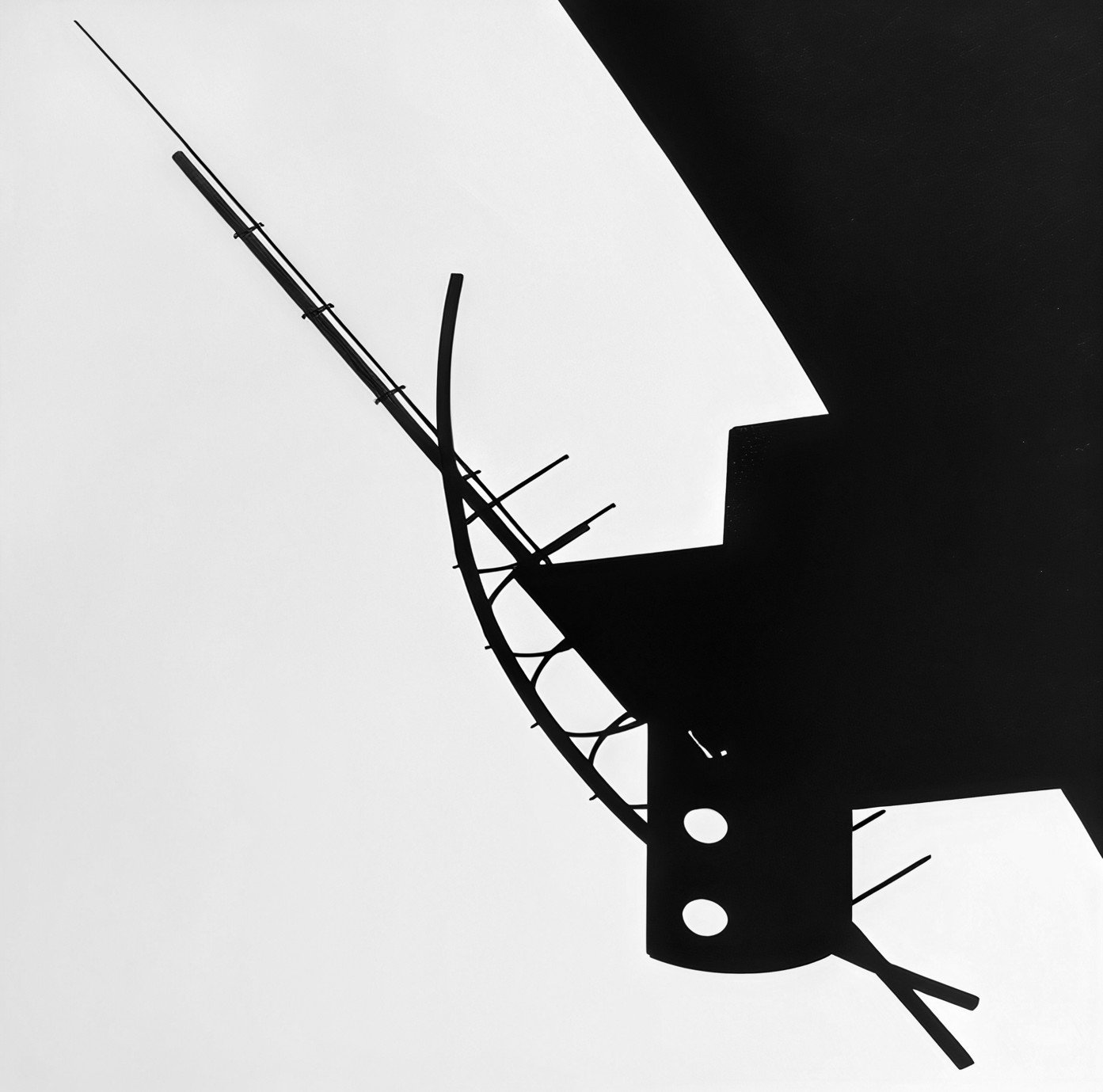 Case Study     |      Aerial Sculpture