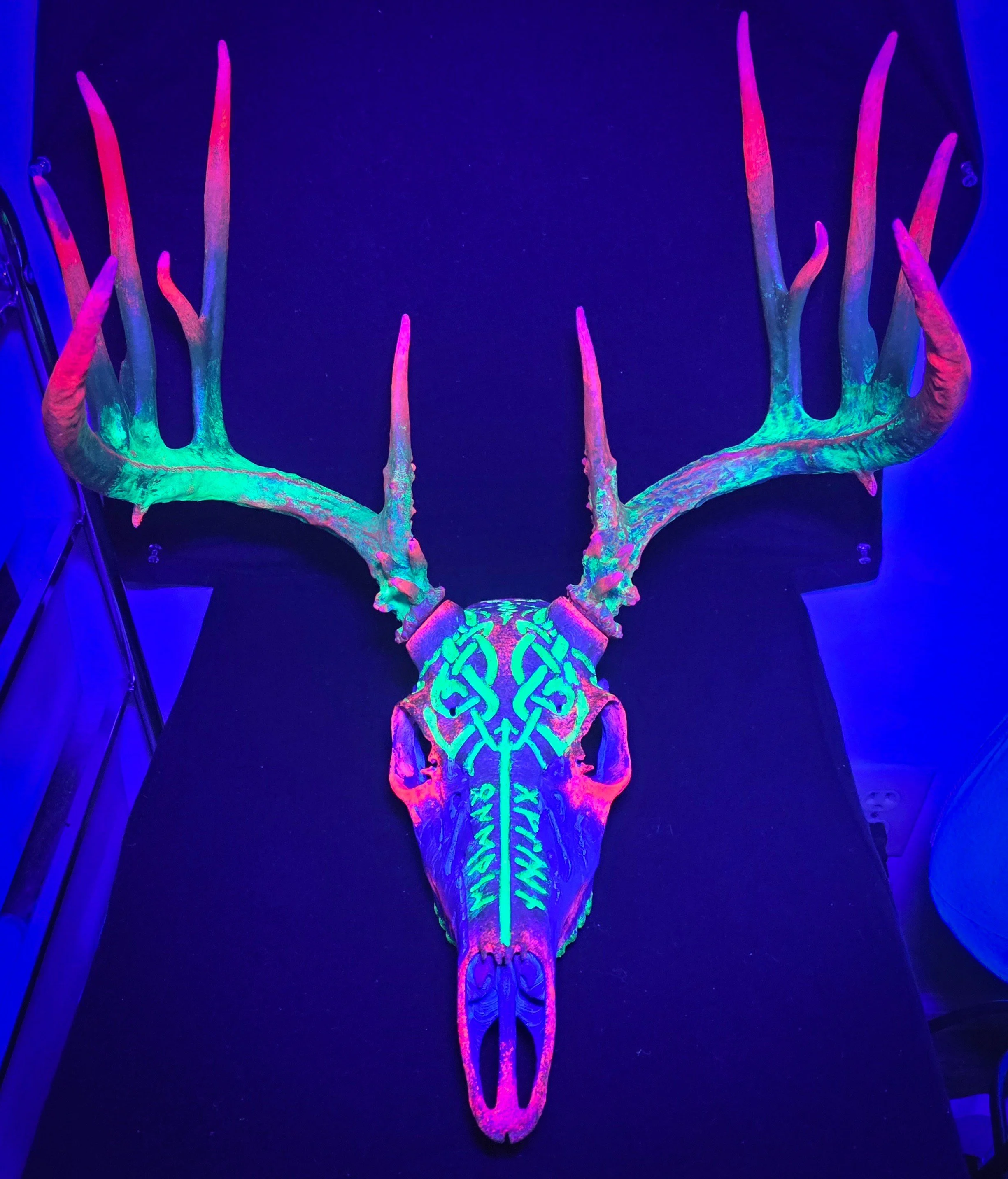 deer 2.jpg