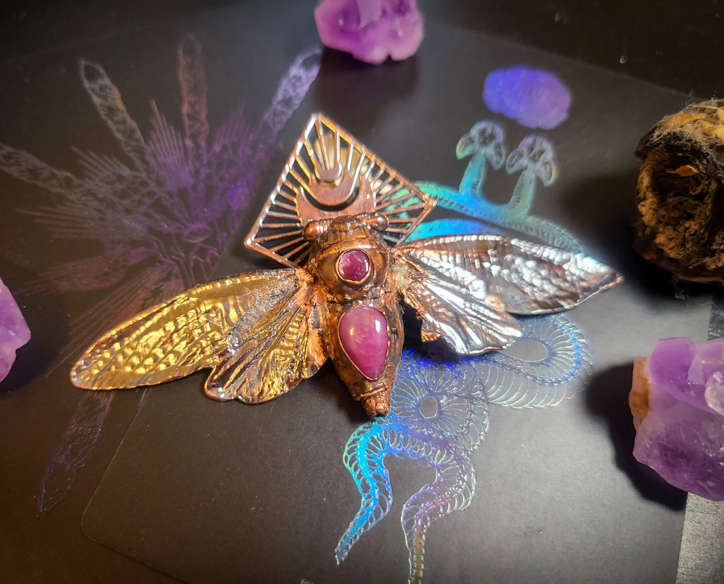 Royal Cicada
