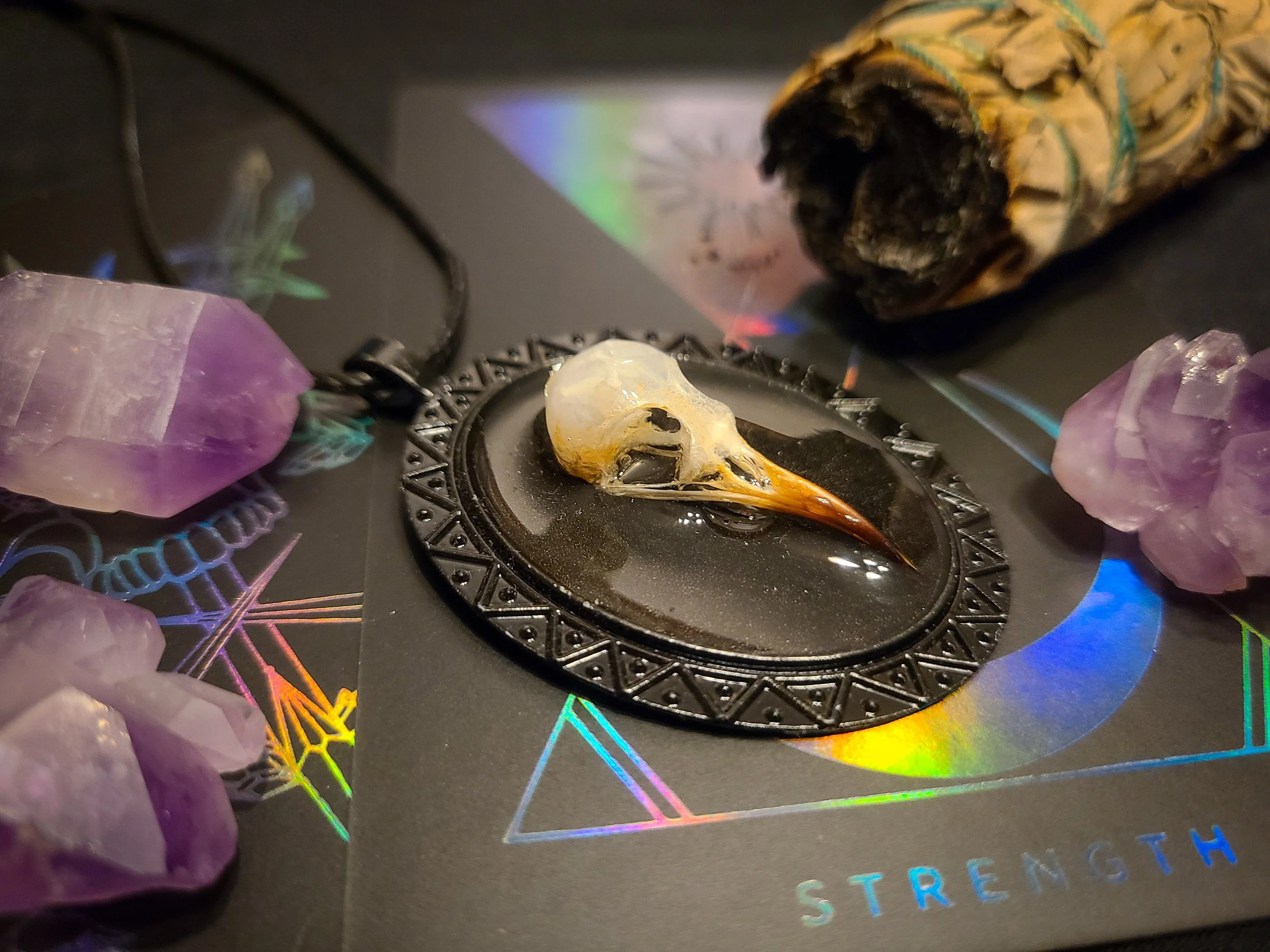 Bird1.jpg