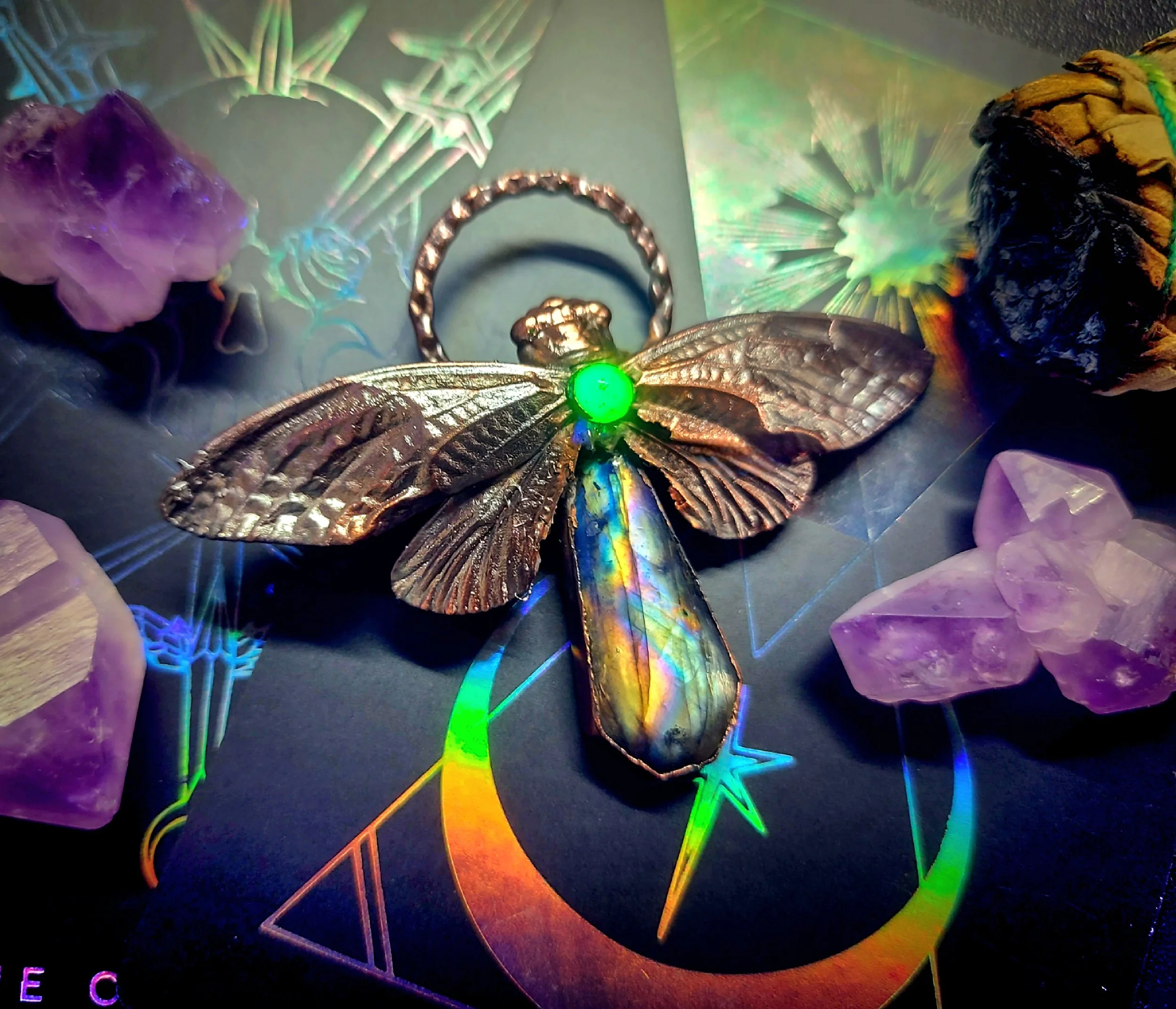 Specrta Cicada
