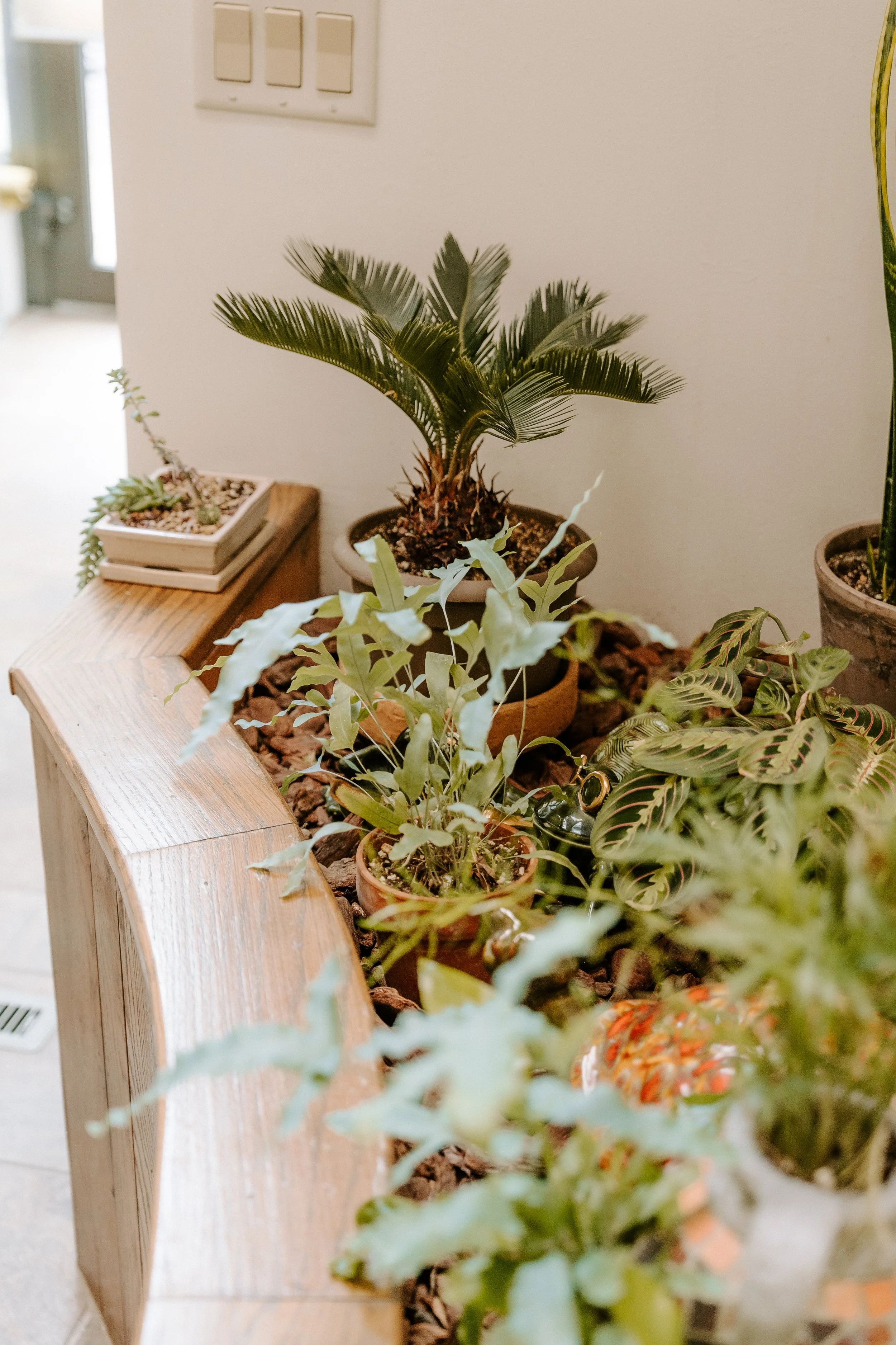 parkerpots-104.jpg