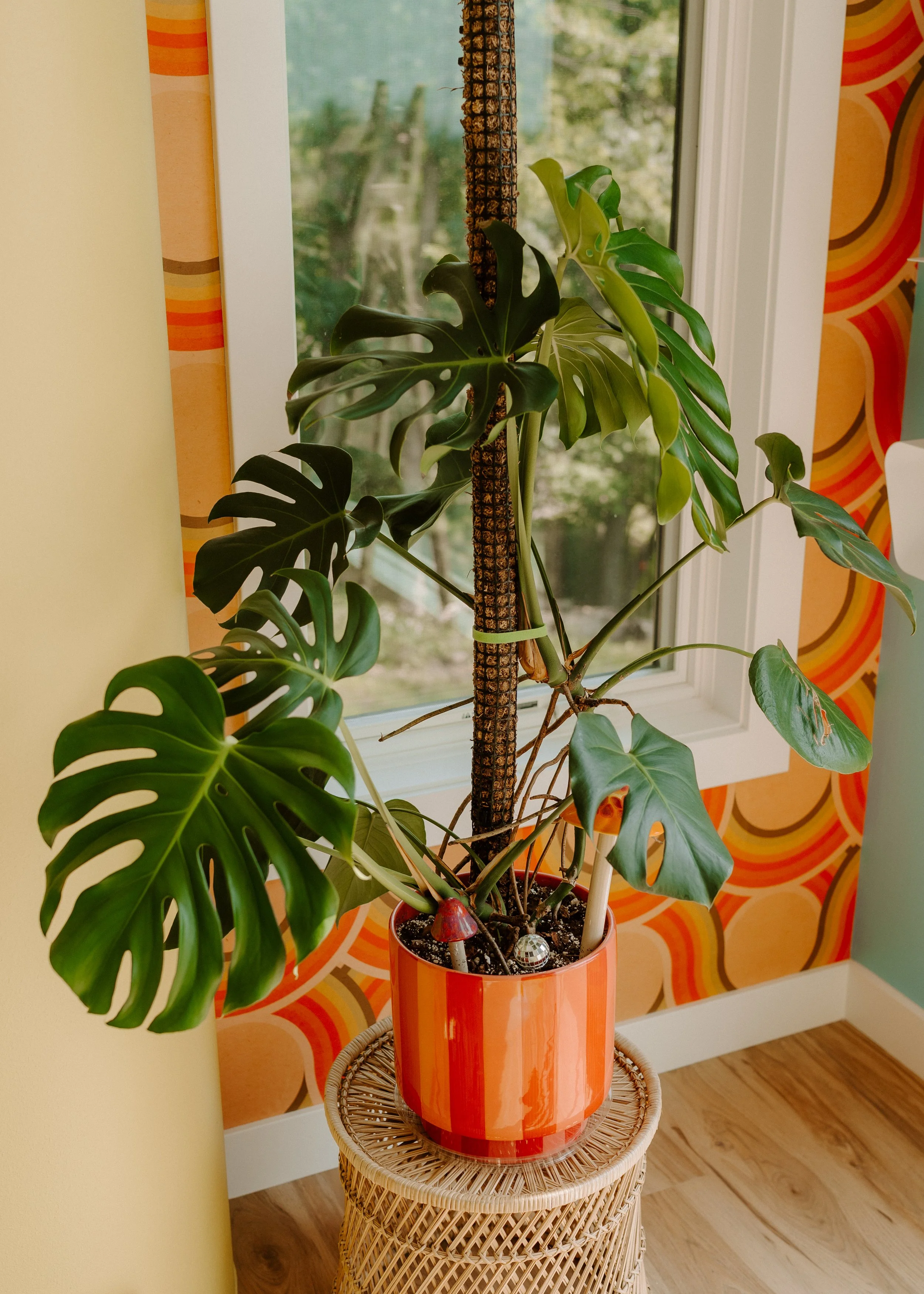 parkerpots-august2026-100.jpg