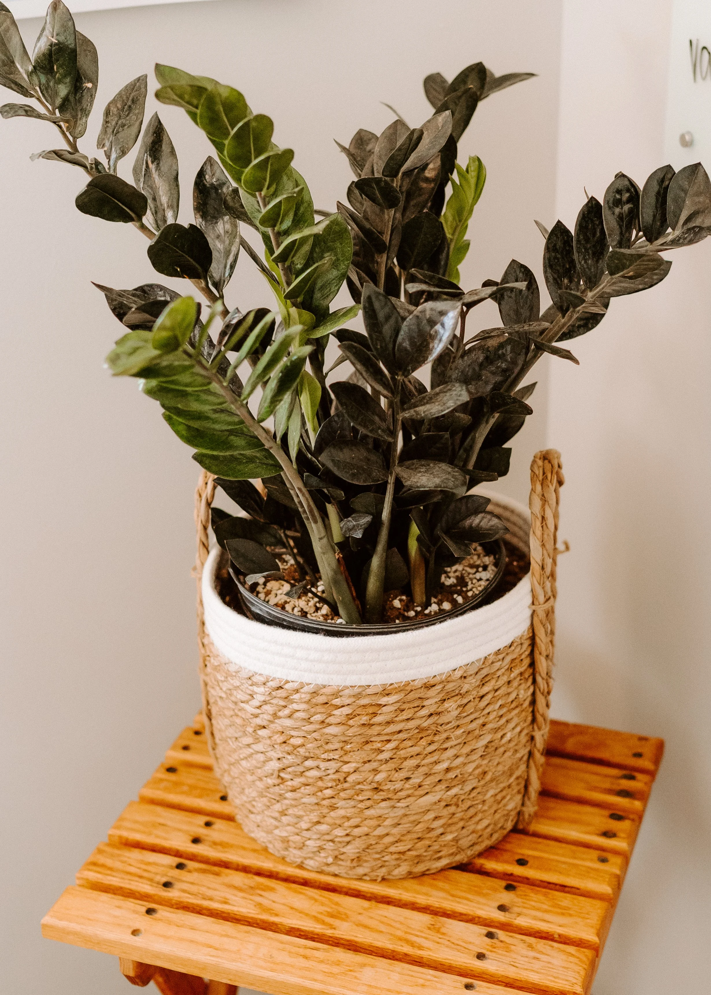 parkerpots-august2026-16.jpg