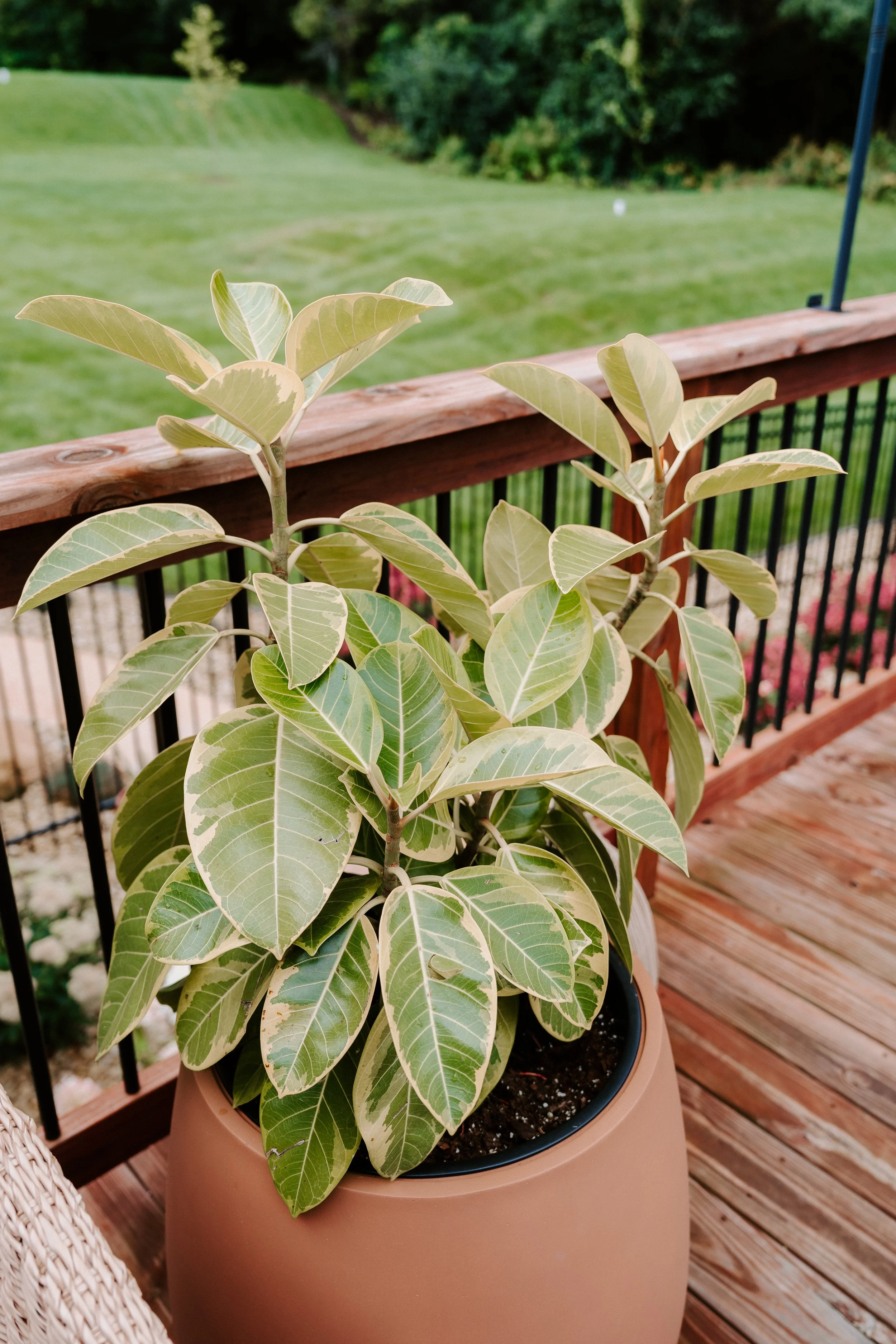 parkerpots-39.jpg