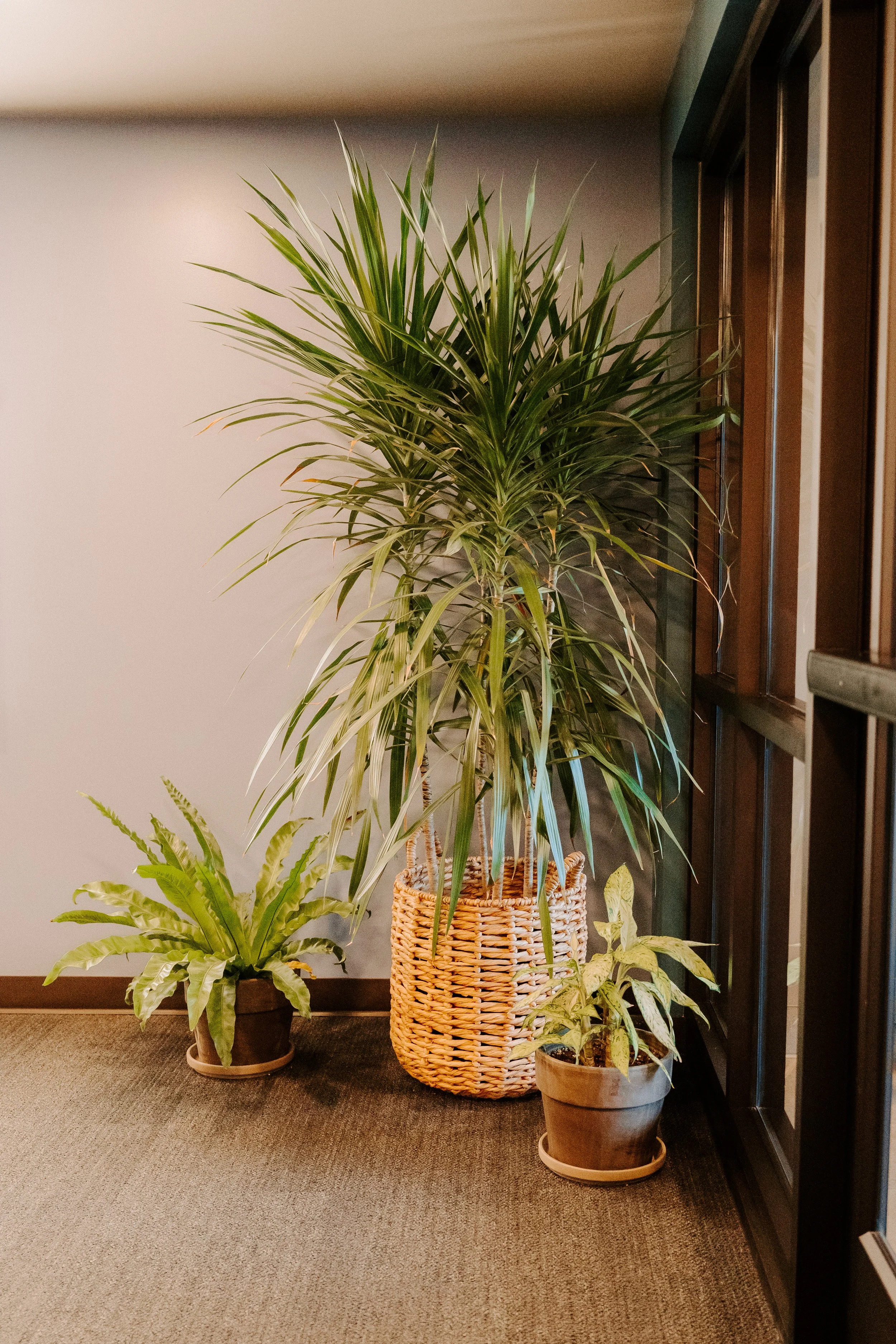 parkerpots-70.jpg