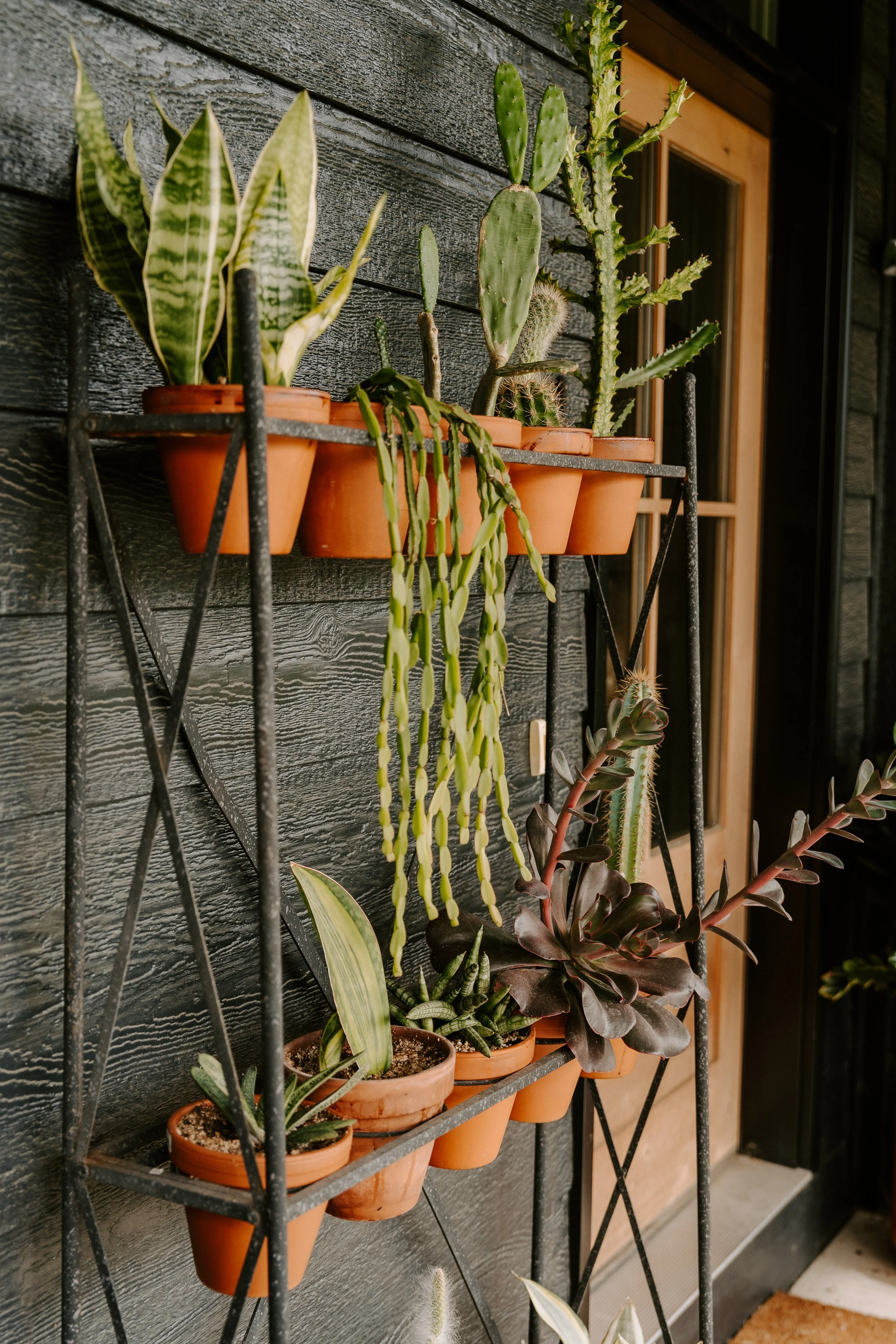 parkerpots-6.jpg
