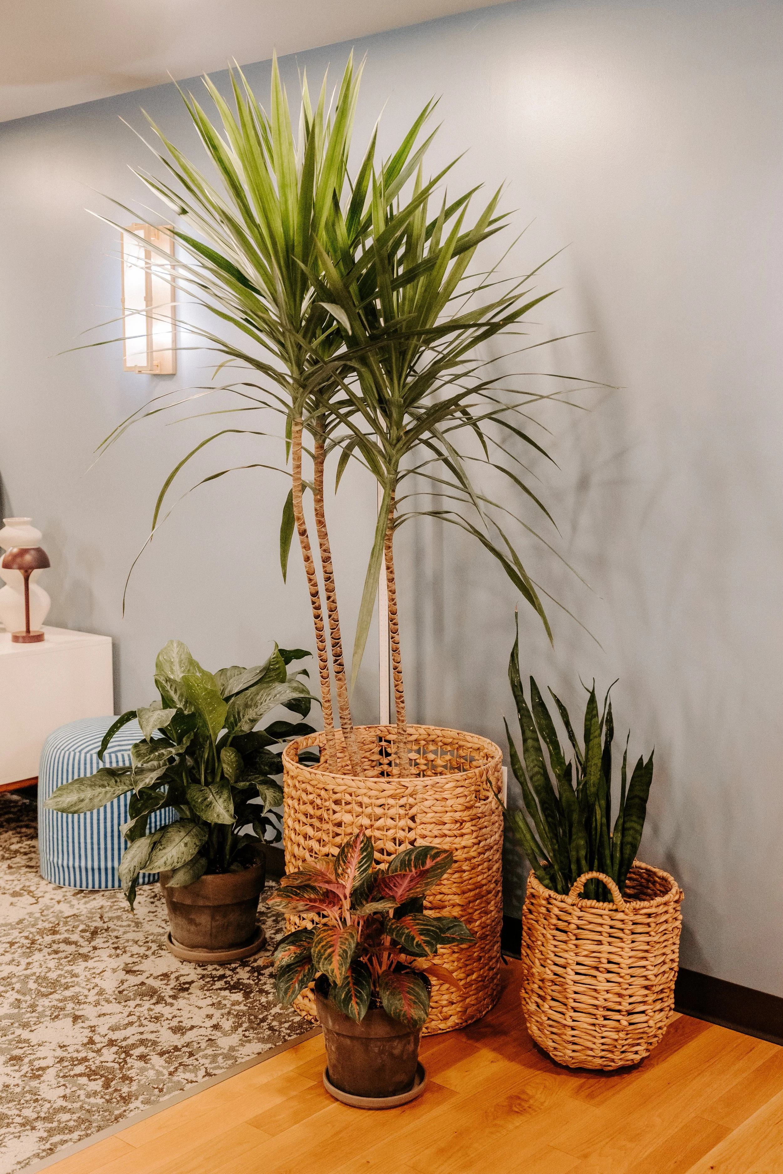 parkerpots-83.jpg