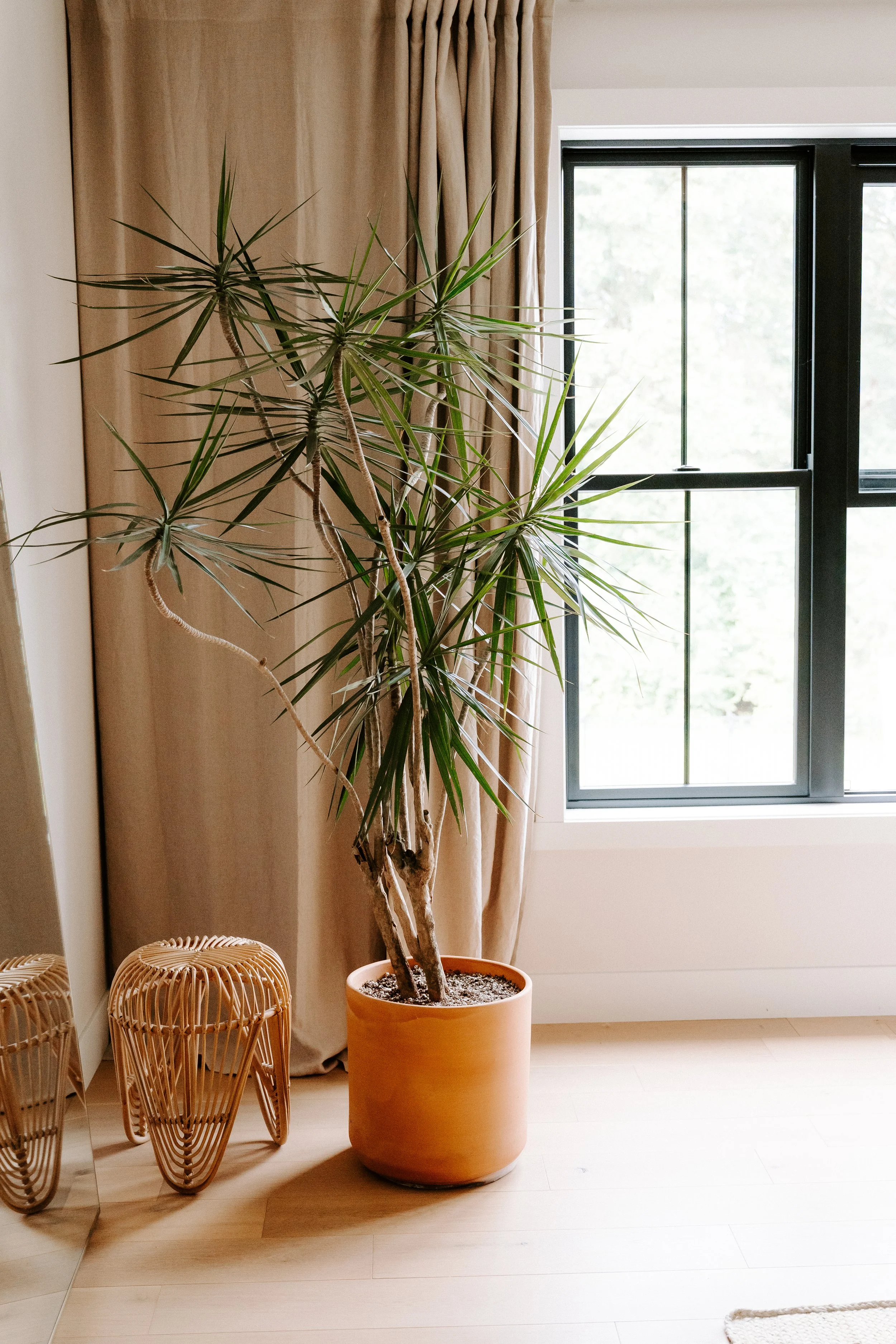 parkerpots-35.jpg