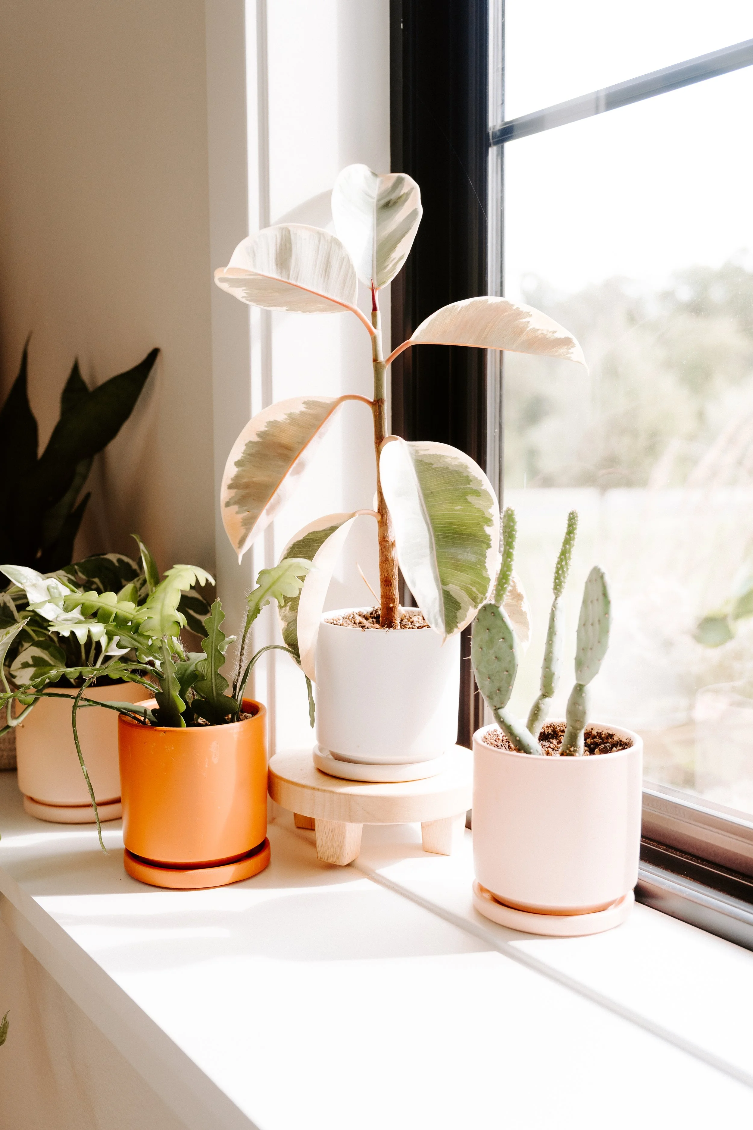 parkerpots-48.jpg