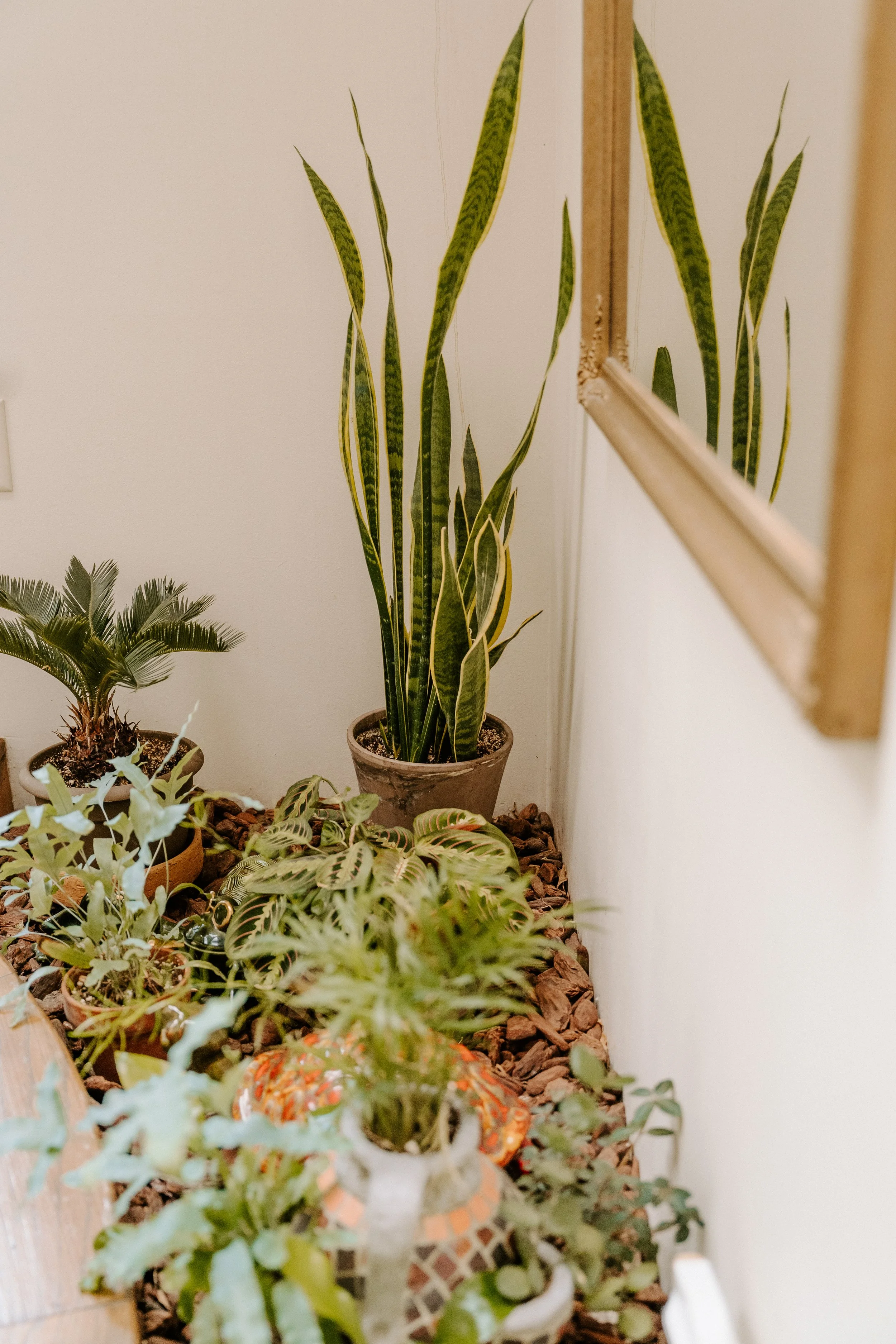 parkerpots-102.jpg