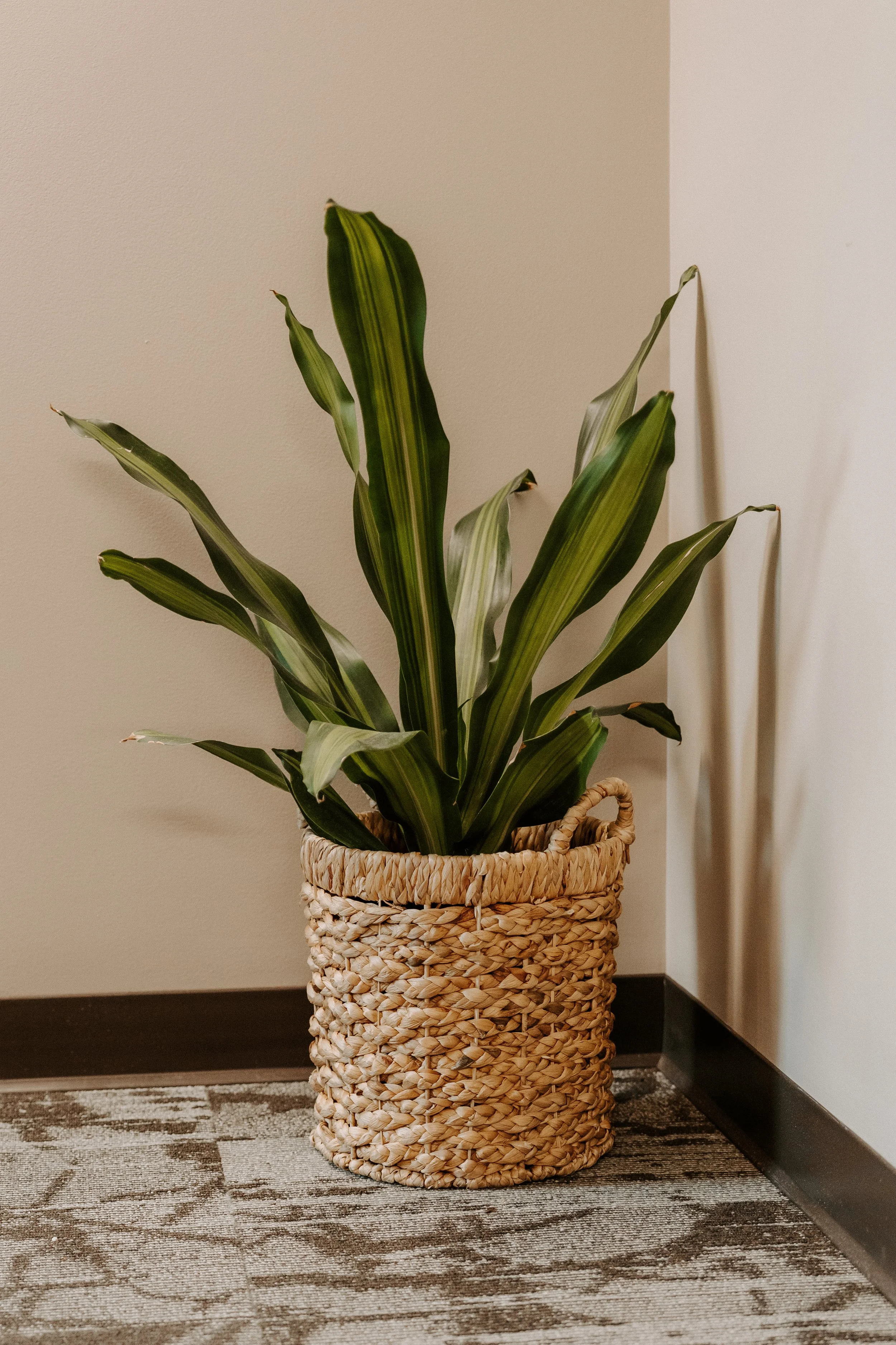 parkerpots-85.jpg