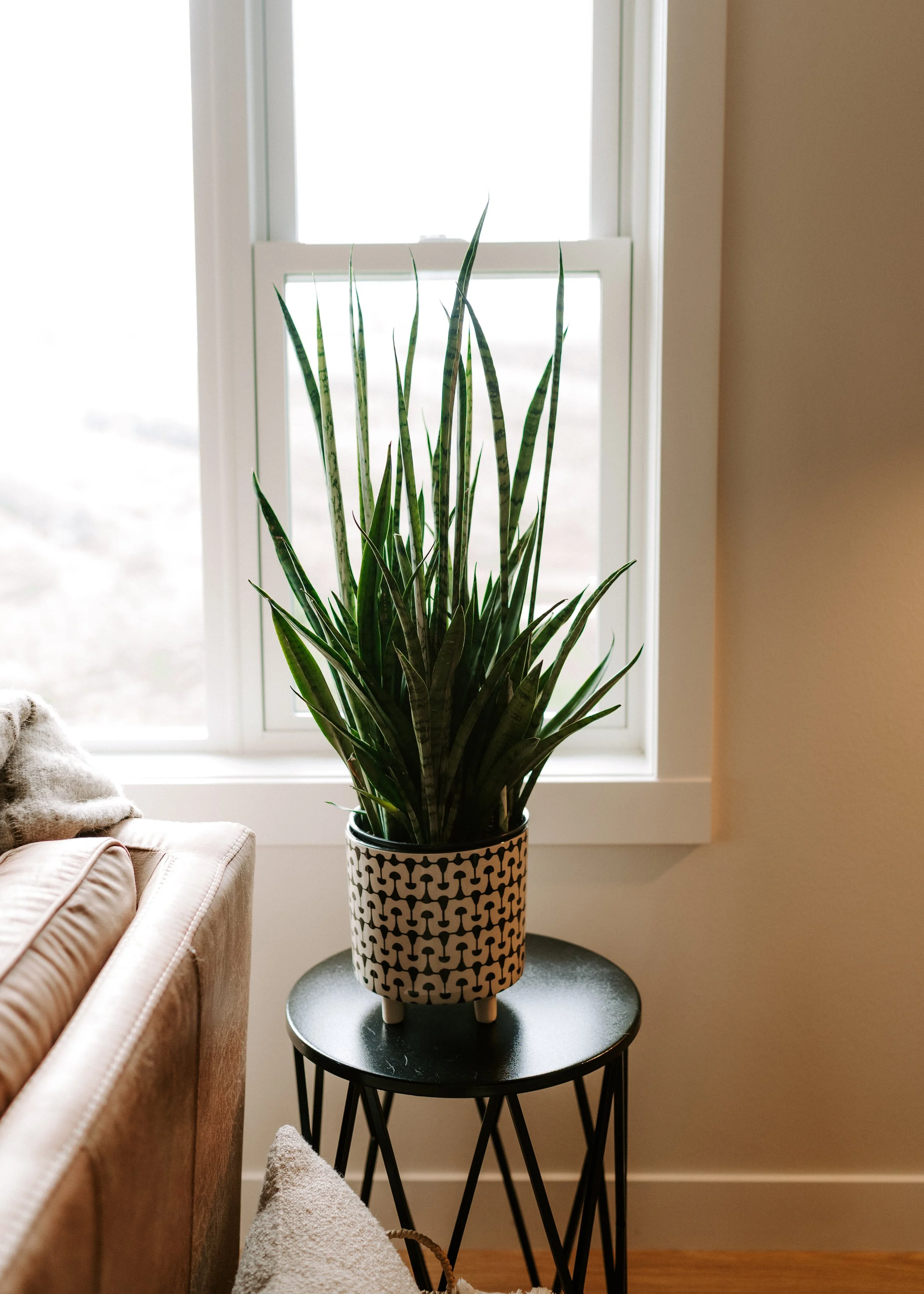 parker-home-9.jpg