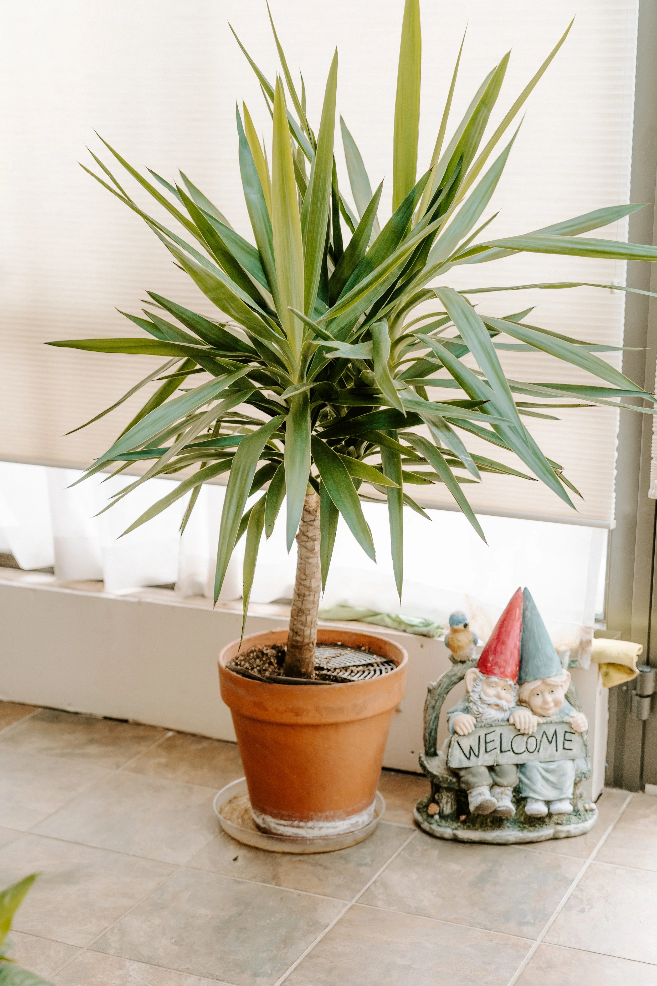 parkerpots-107.jpg