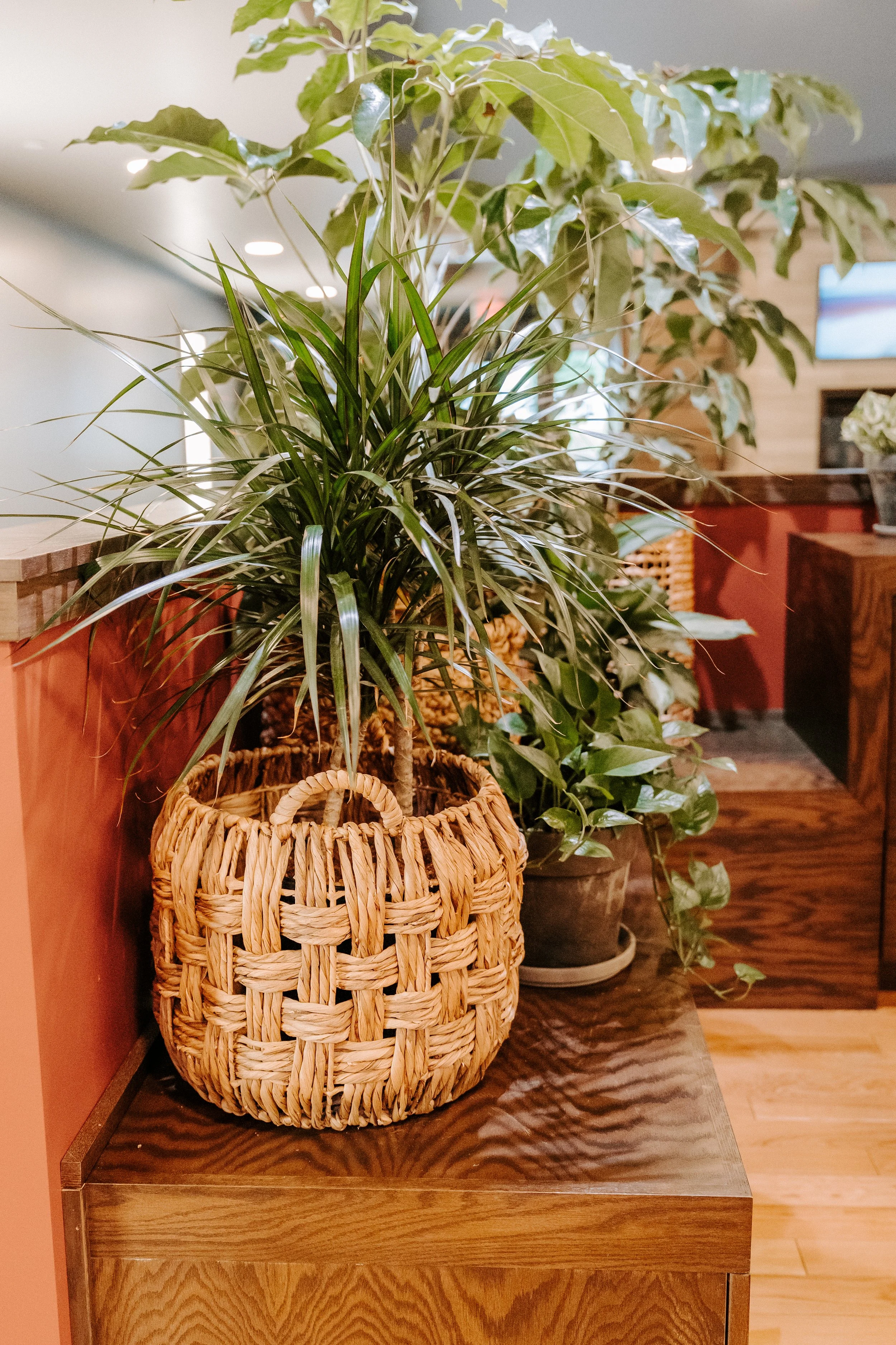 parkerpots-75.jpg