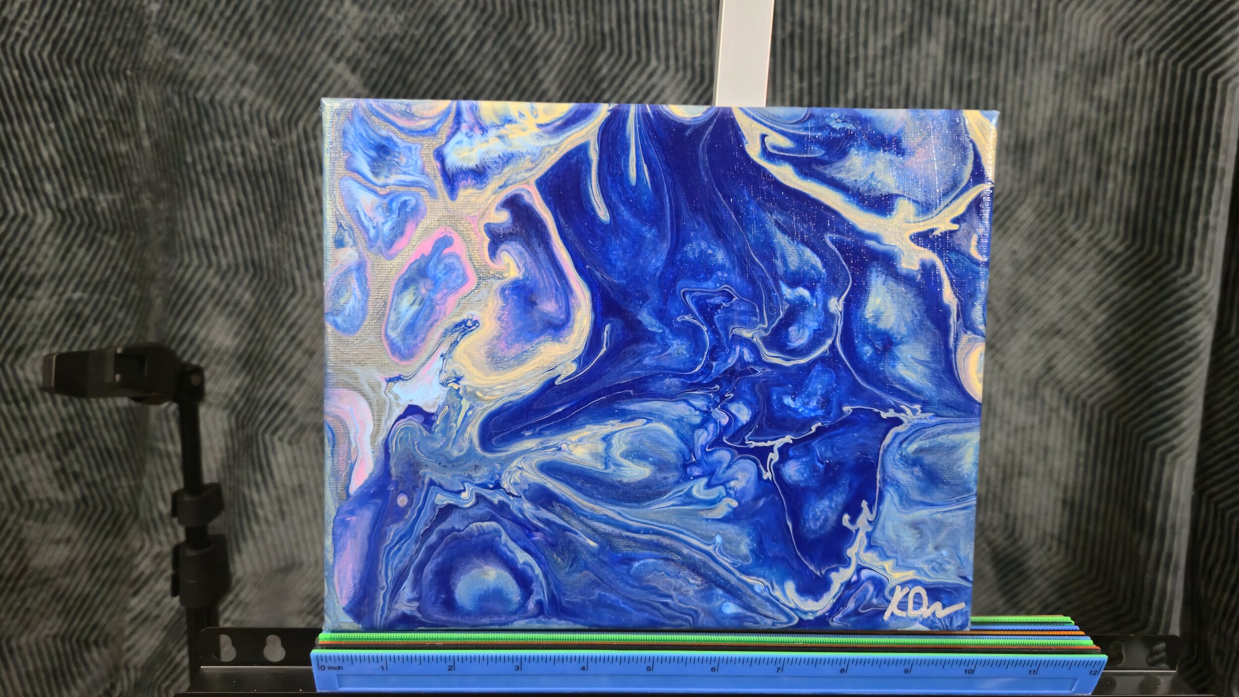 Pinky and the... R.jpg