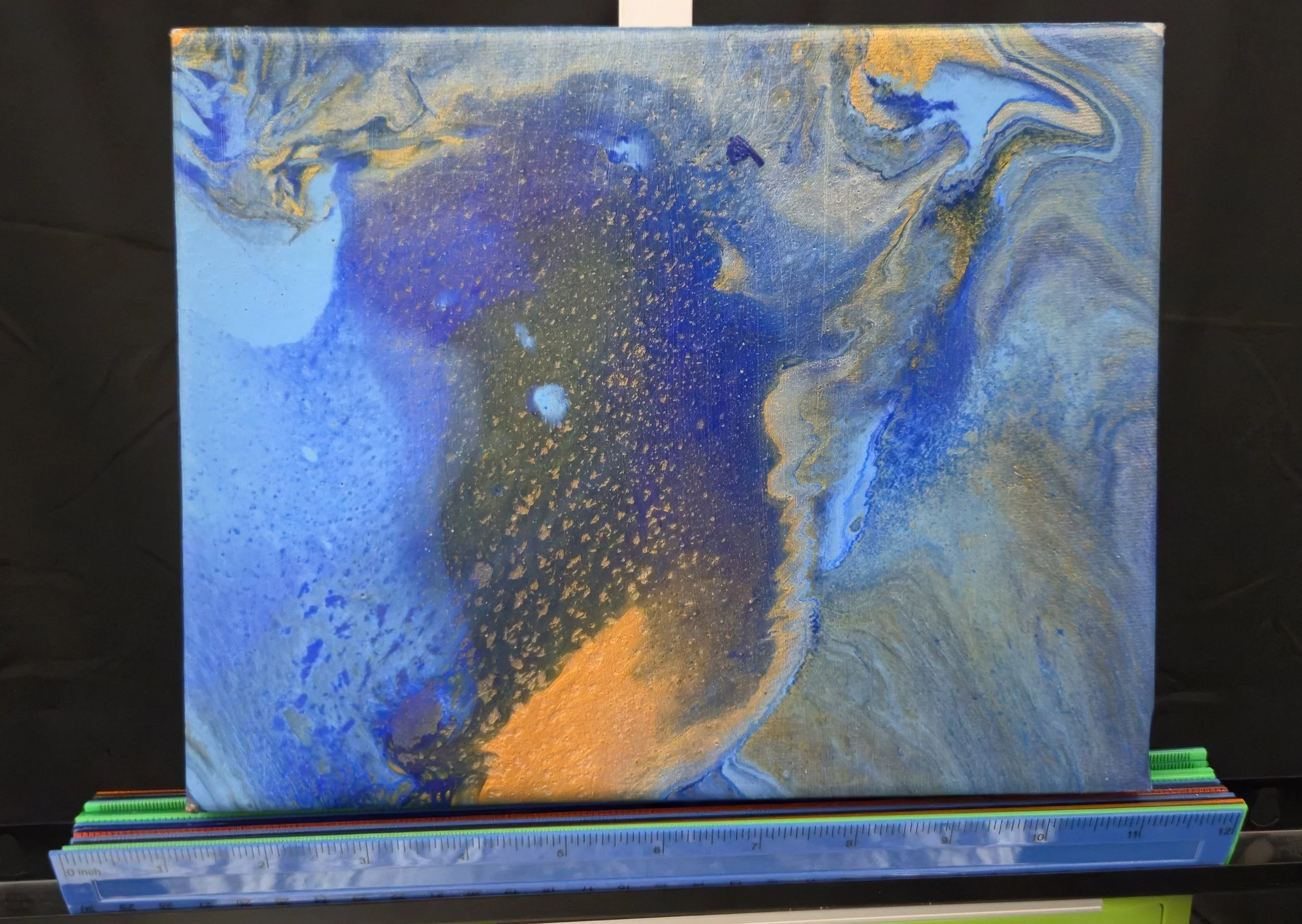 Moonlight in Motion R.jpg