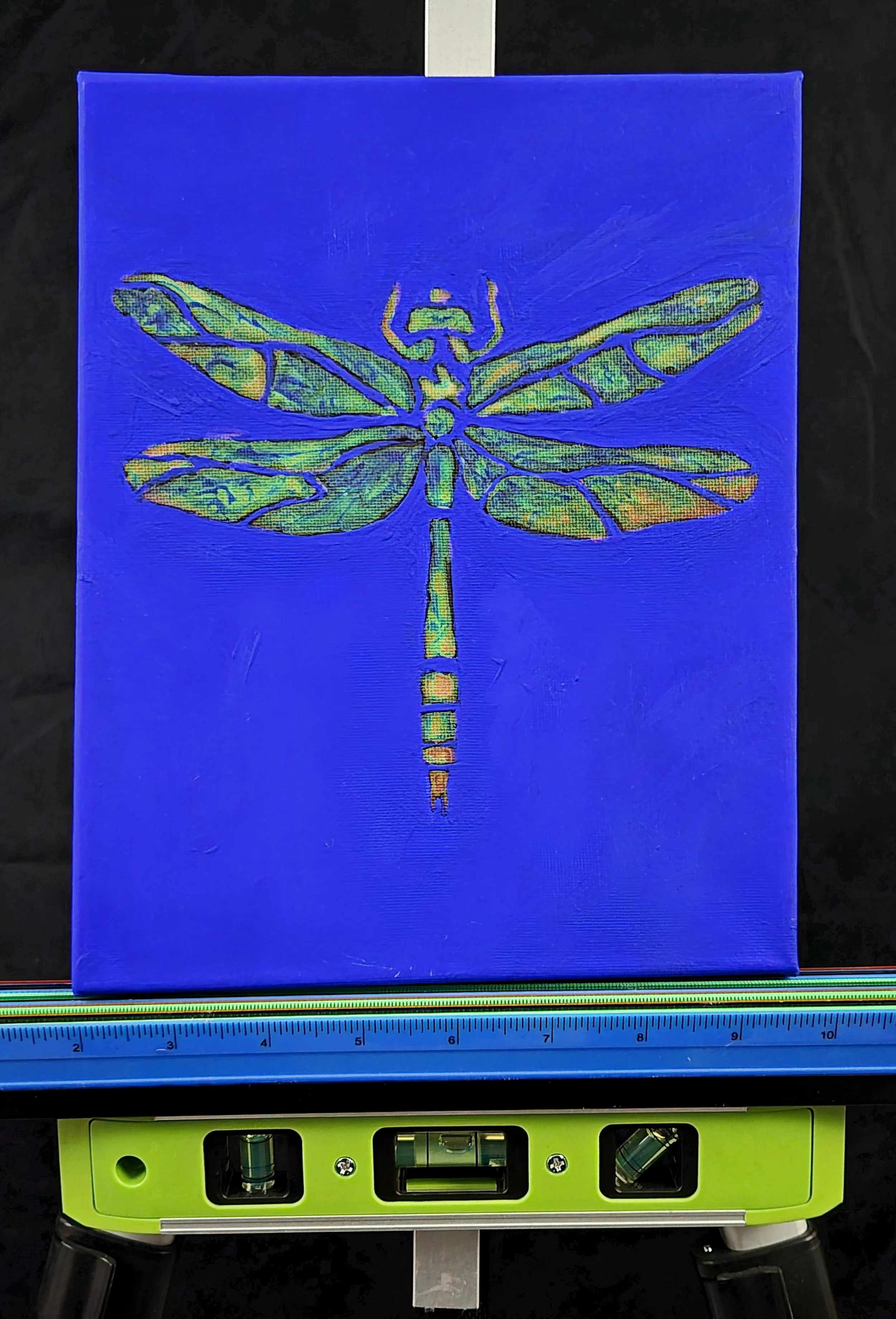 The Moody Dragonfly R.jpg