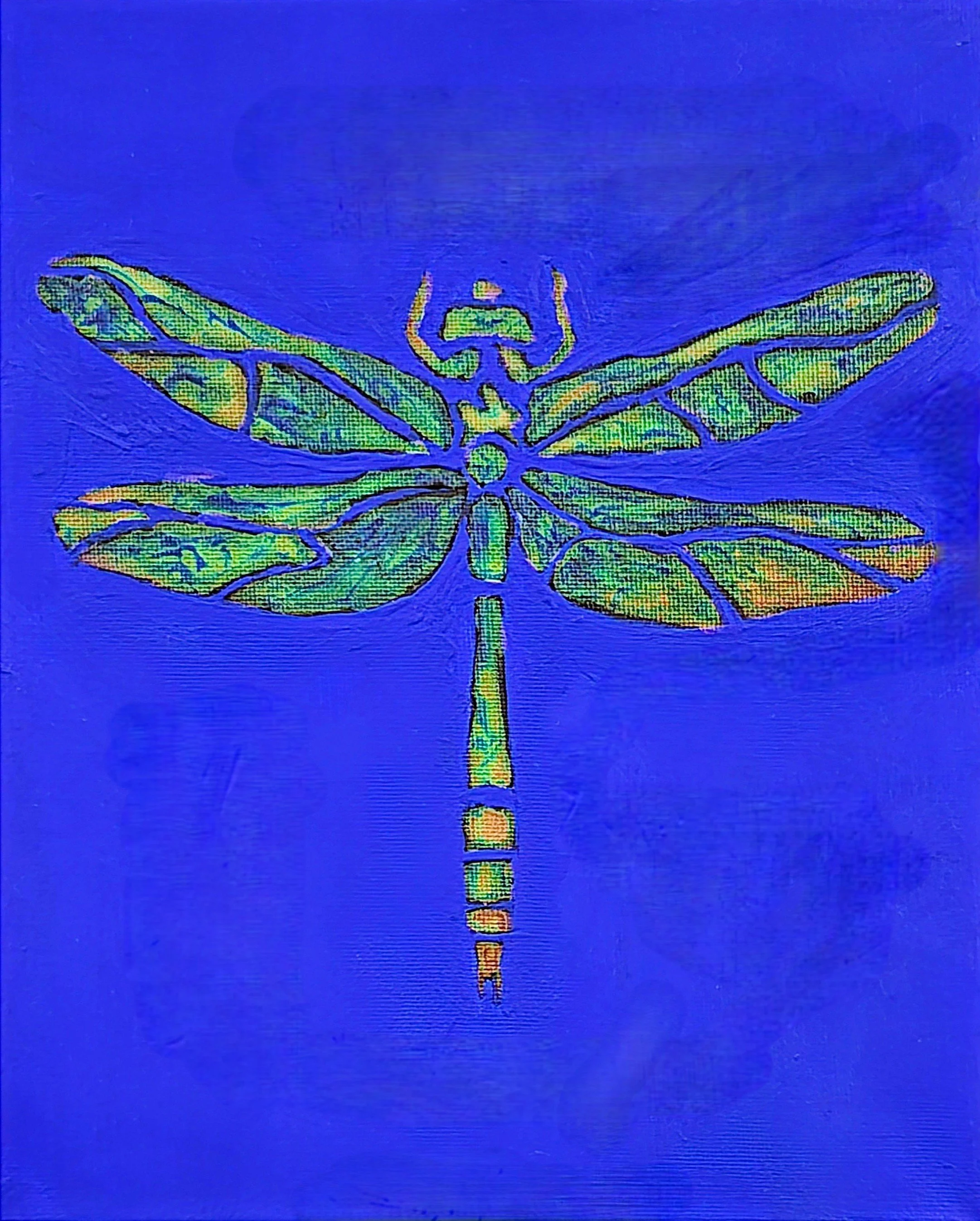 The Moody Dragonfly.jpg