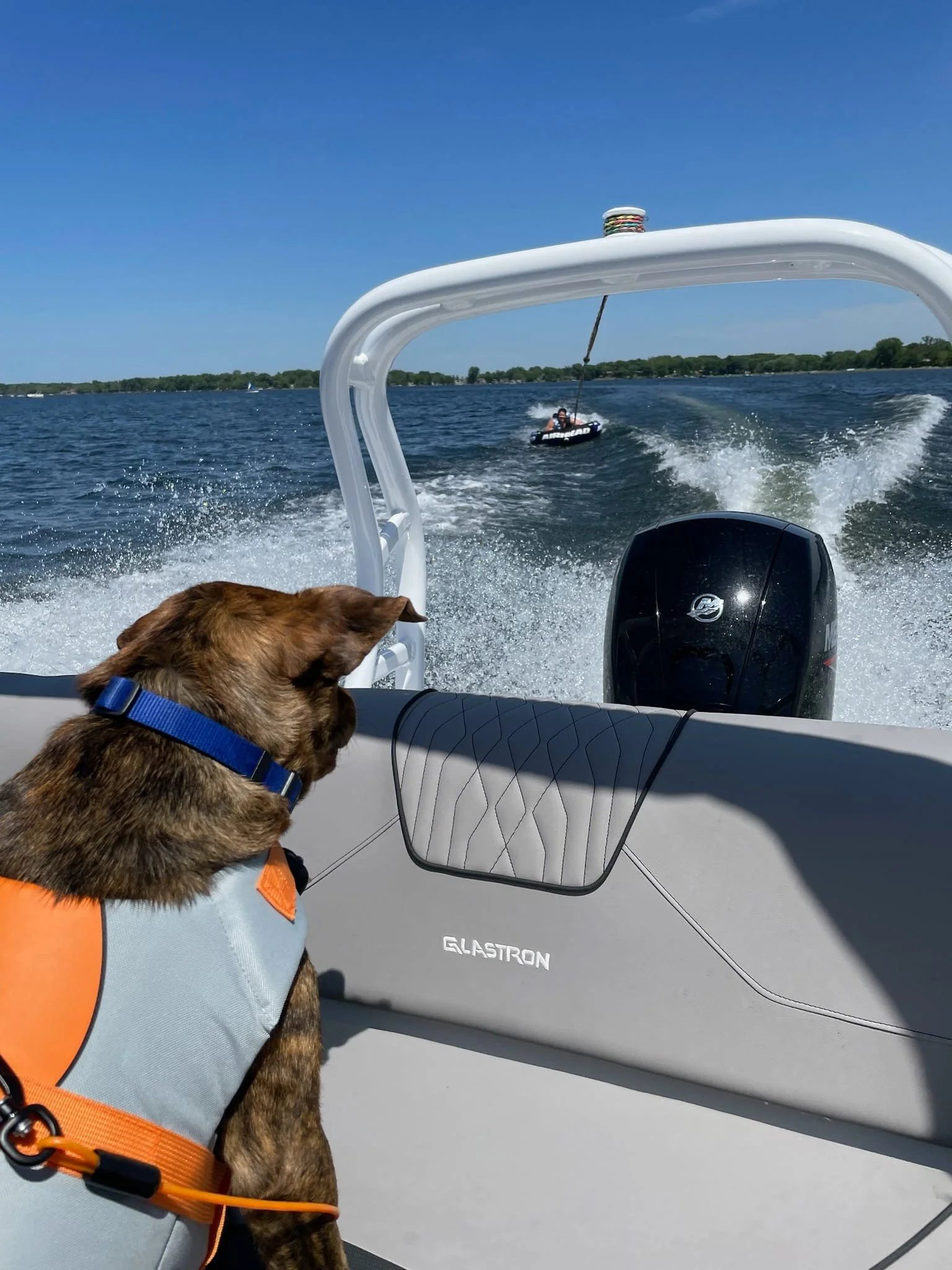 A dog wearing a life jacket sits on a boat, looking at a person water skiing behind. The scene is on a lake with a clear blue sky.
