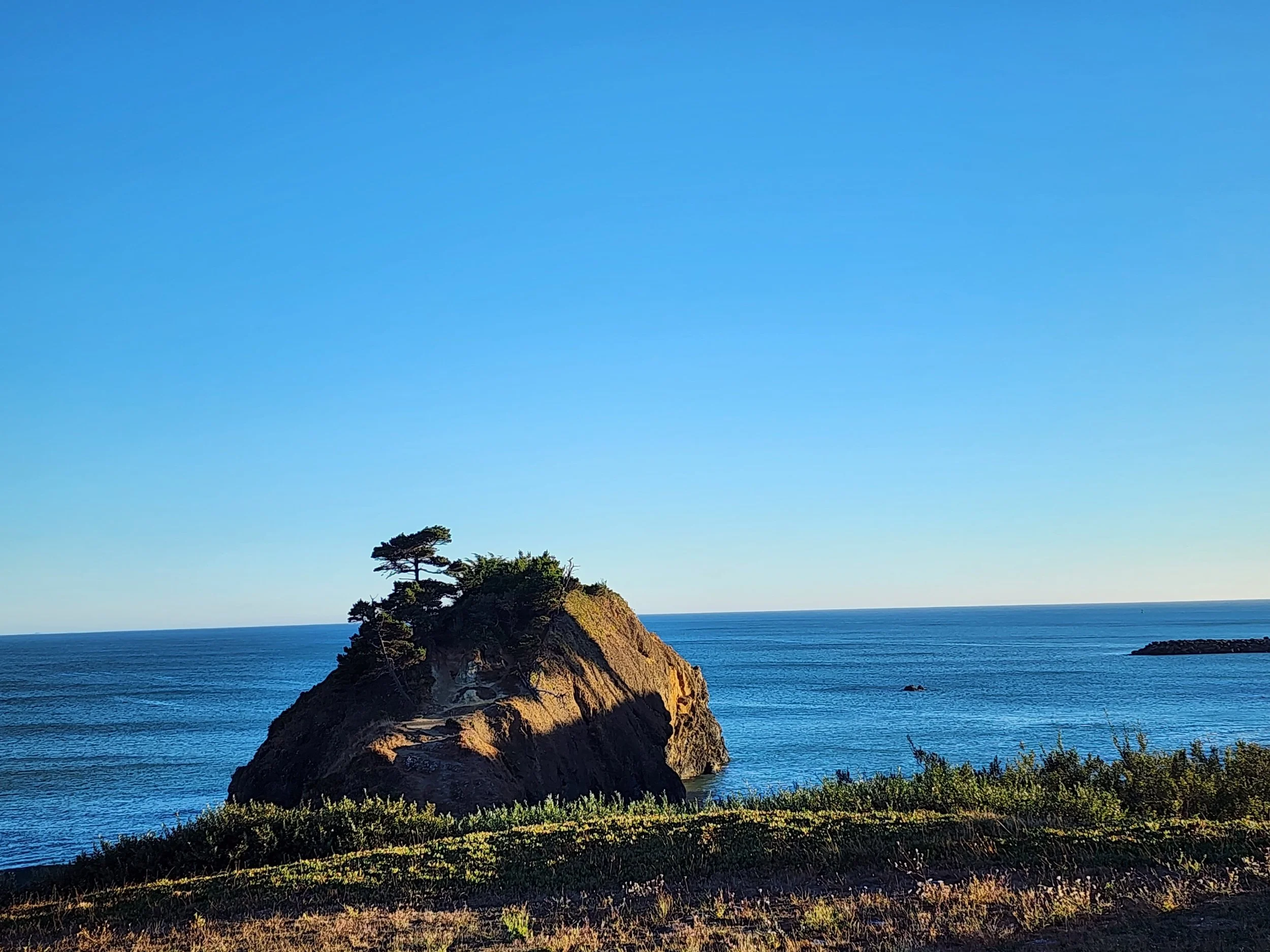 A large rocky island with a few trees on top, surrounded by the blue ocean under a clear sky.