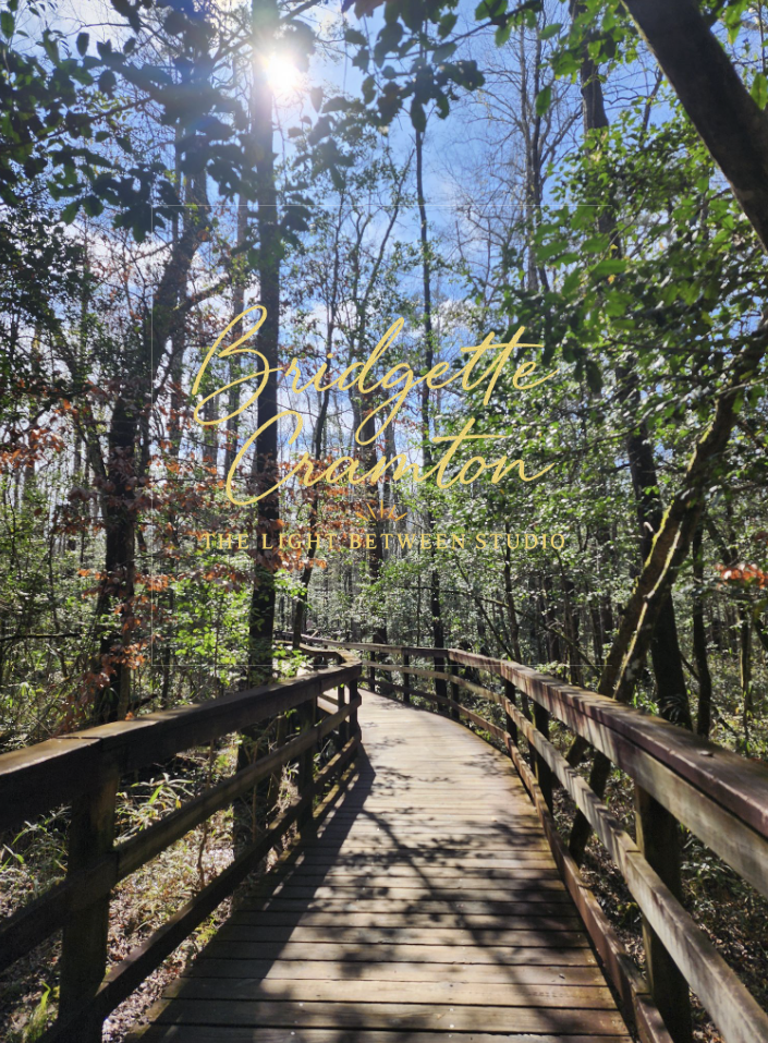 Screenshot 2025-11-15 092237.png