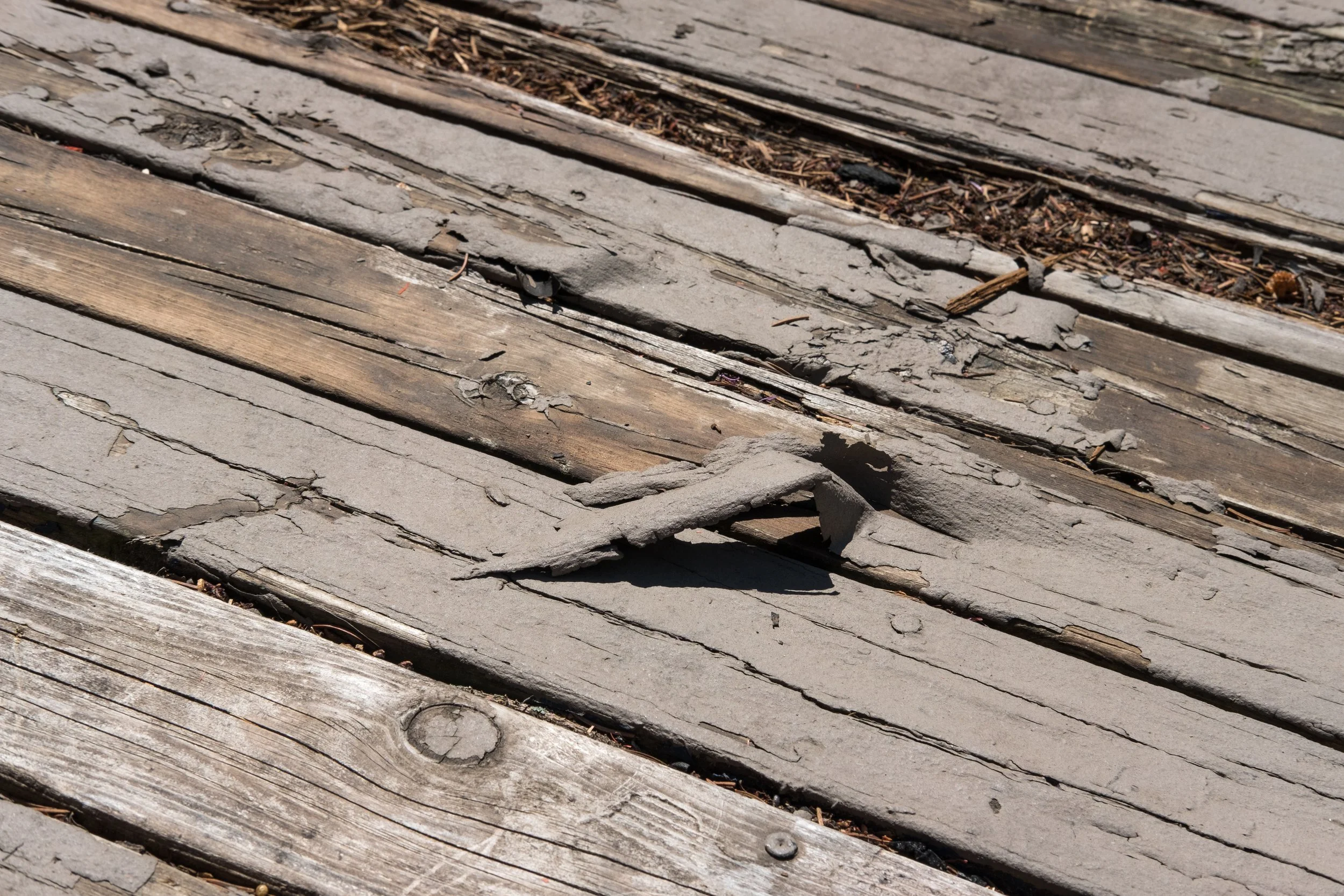 Close-up of deteriorating outdoor wooden and concrete flooring with cracked and peeling surfaces.