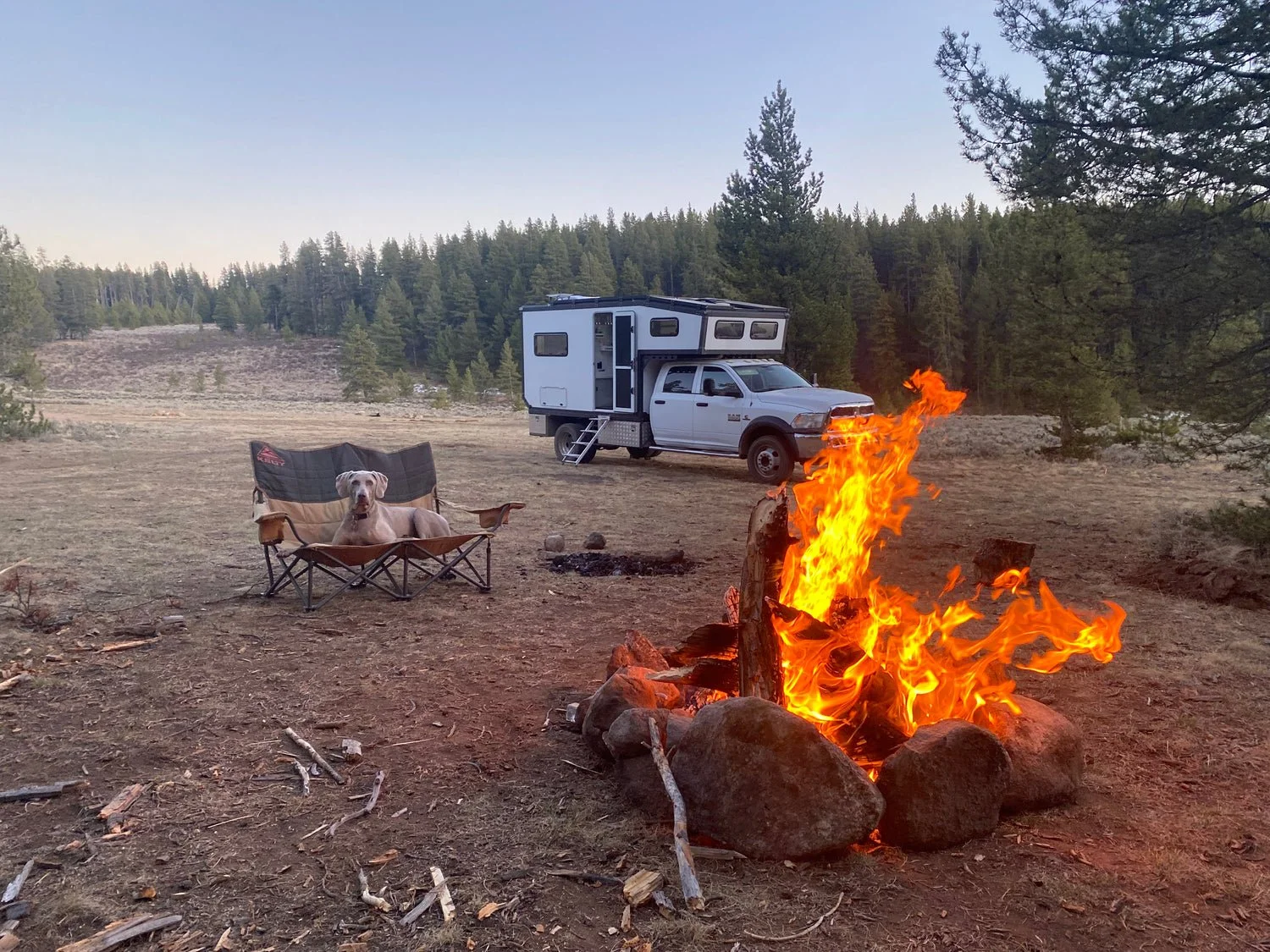 A campsite in a forest clearing with a campfire, a dog sitting on a folding chair, and a camper truck parked nearby.