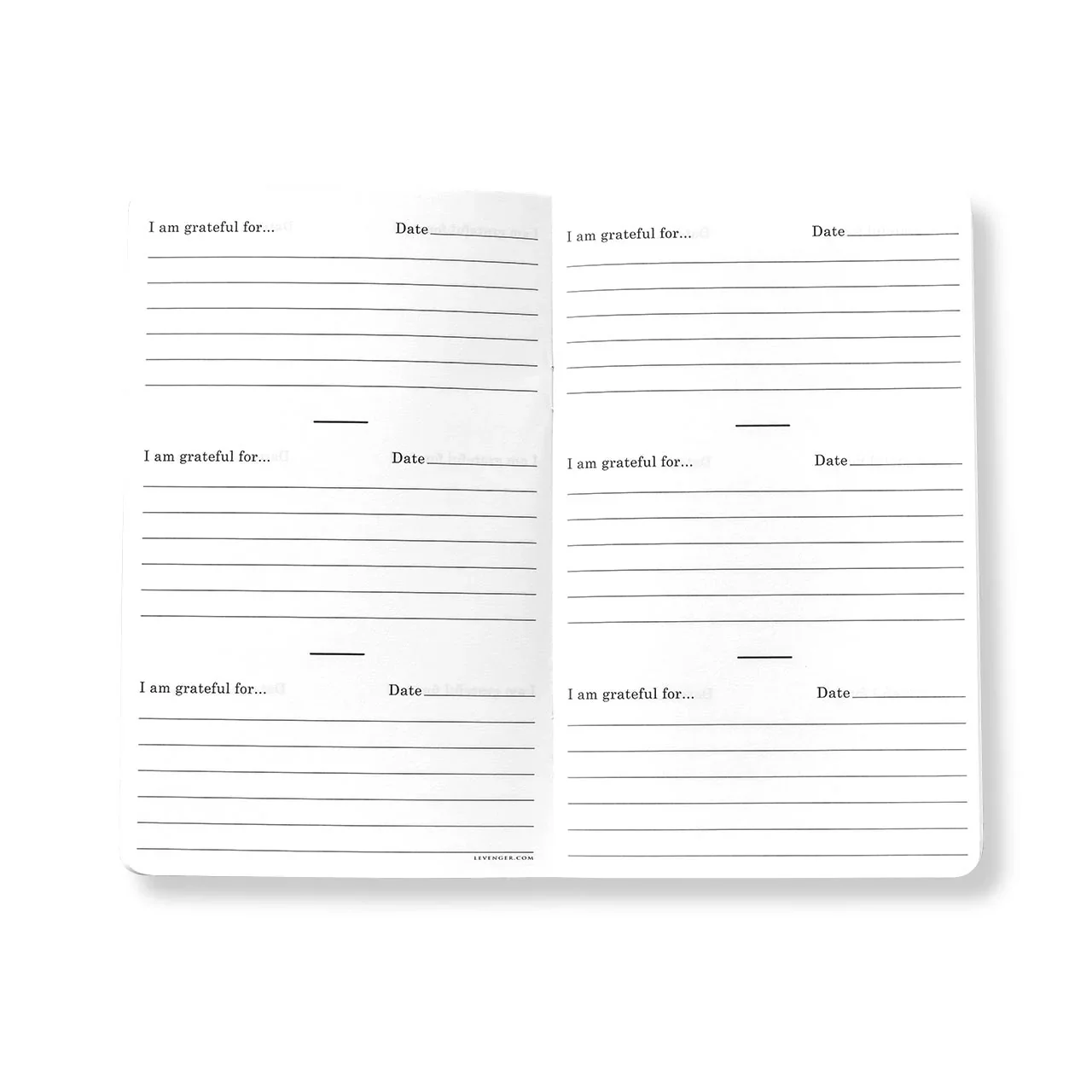 Gratitude Companion Inside.webp