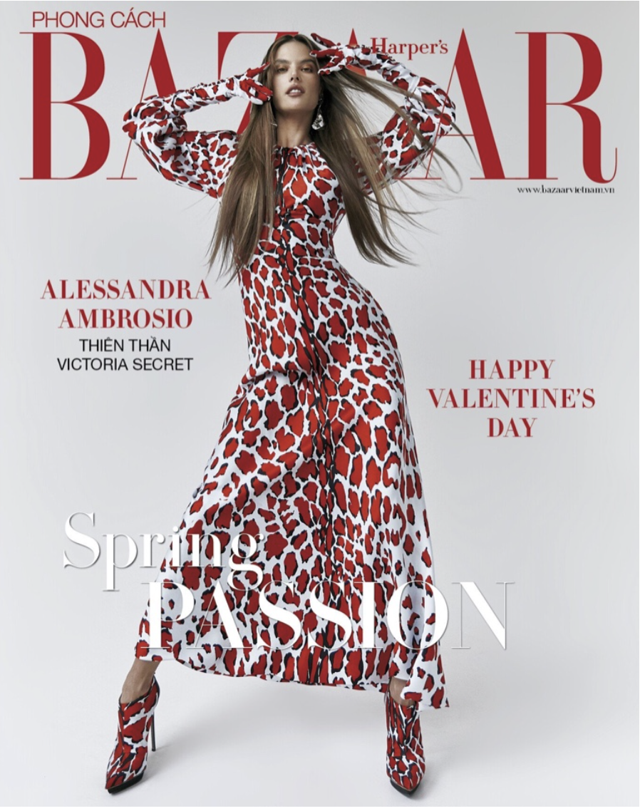 Screenshot 2026-01-26 at 8.03.52 PM.png