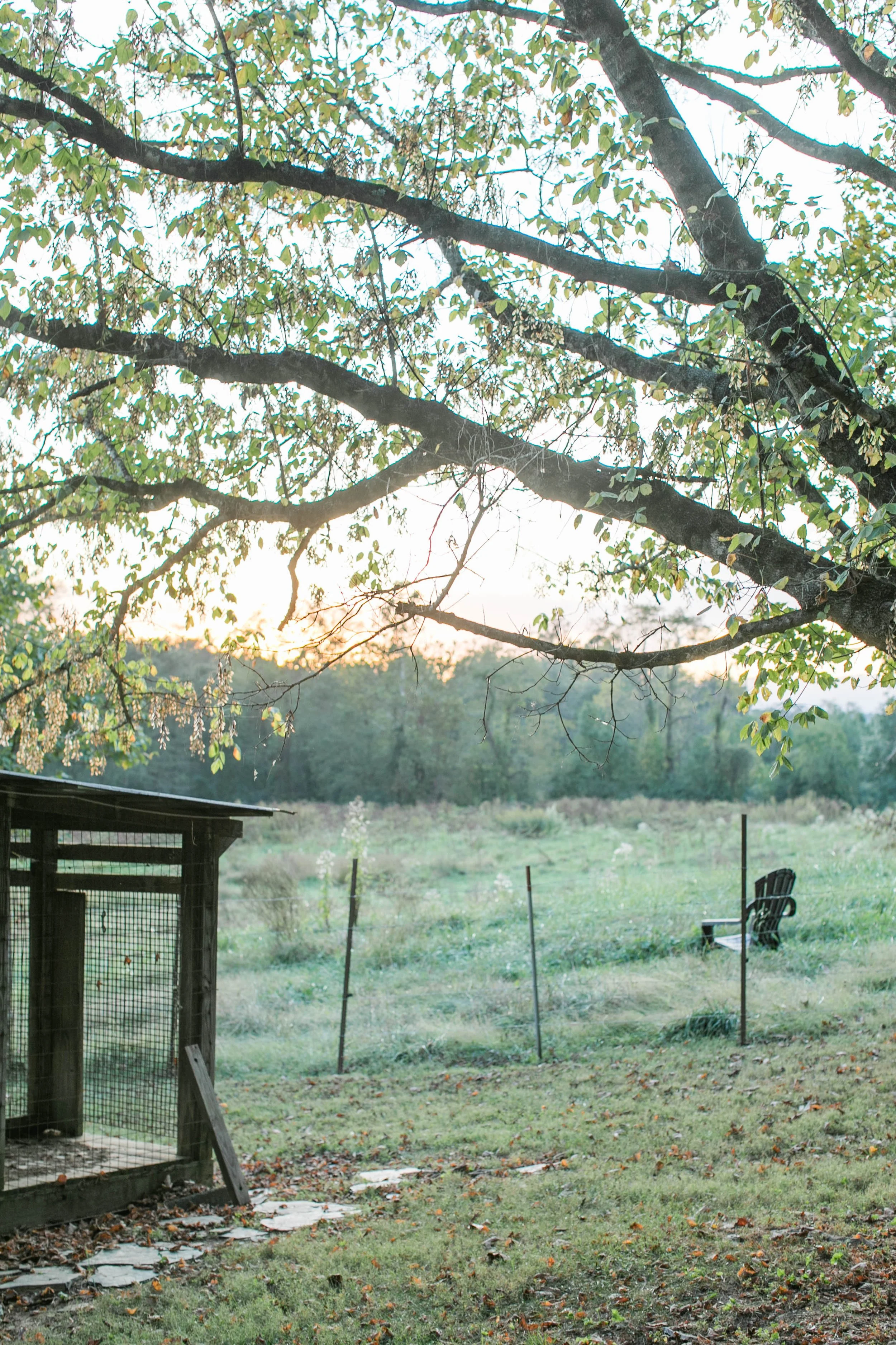 Scenic view of the refined grounds at The Reserve at Two Horses Farm, featuring open meadows, mature trees, and peaceful natural landscape in the Blue Ridge foothills