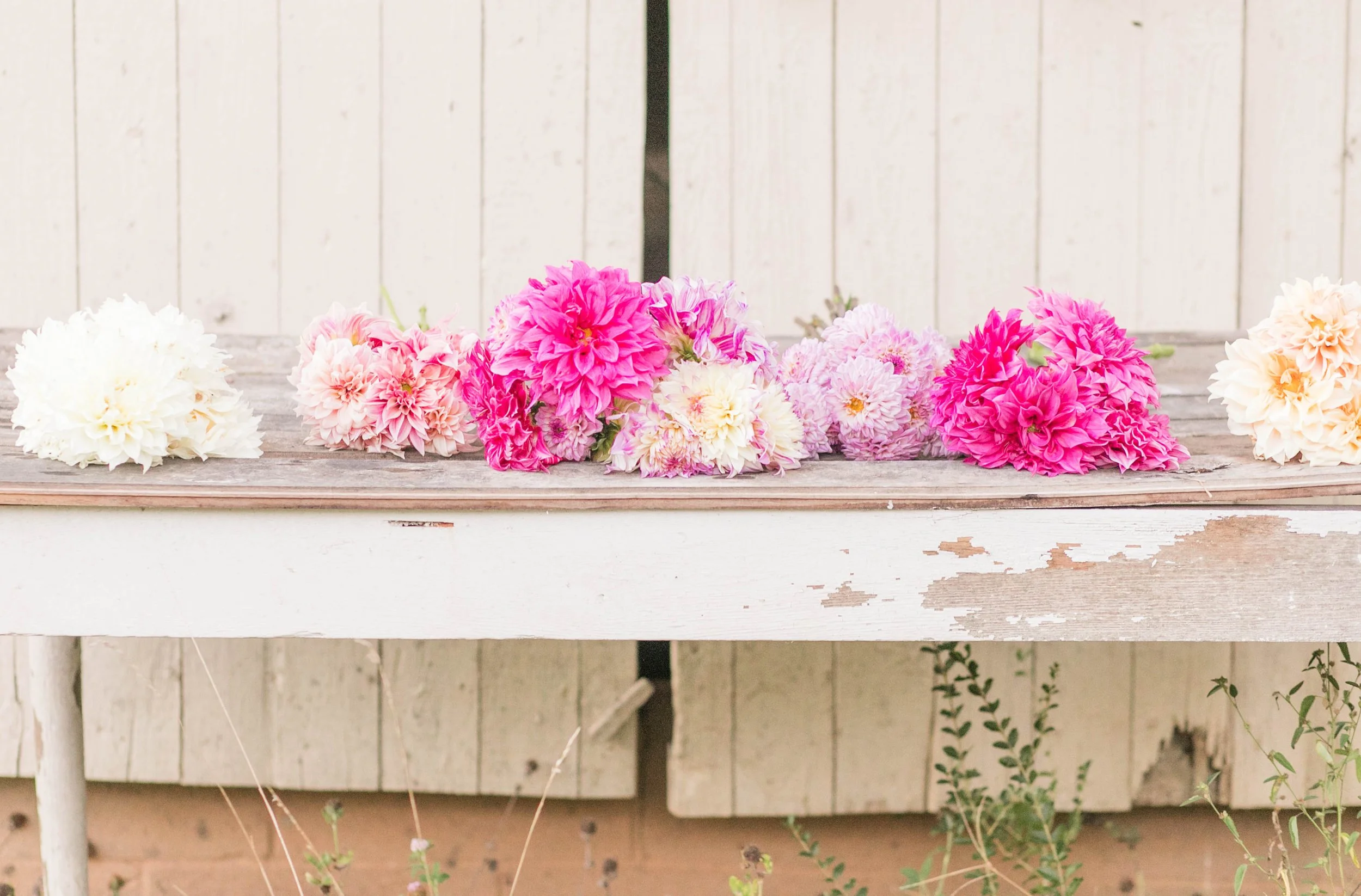 Soft pastel florals displayed outside the bridal cottage at The Reserve at Two Horses Farm, showcasing the venue’s elegant, curated aesthetic